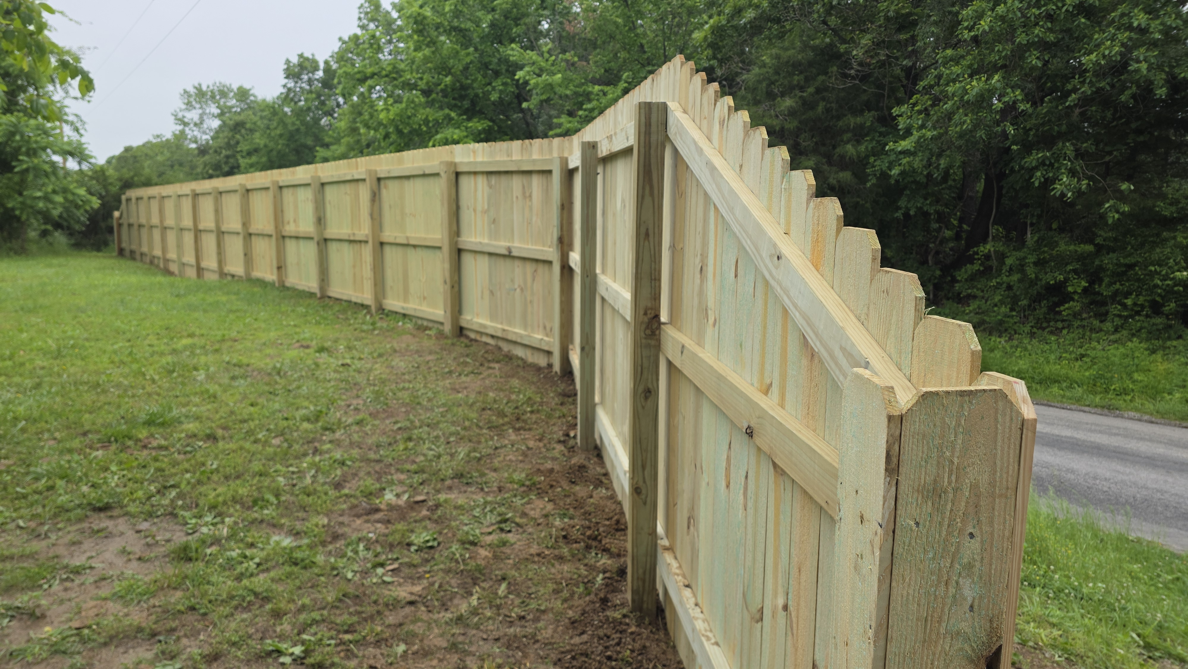 Wooden privacy fence with trees