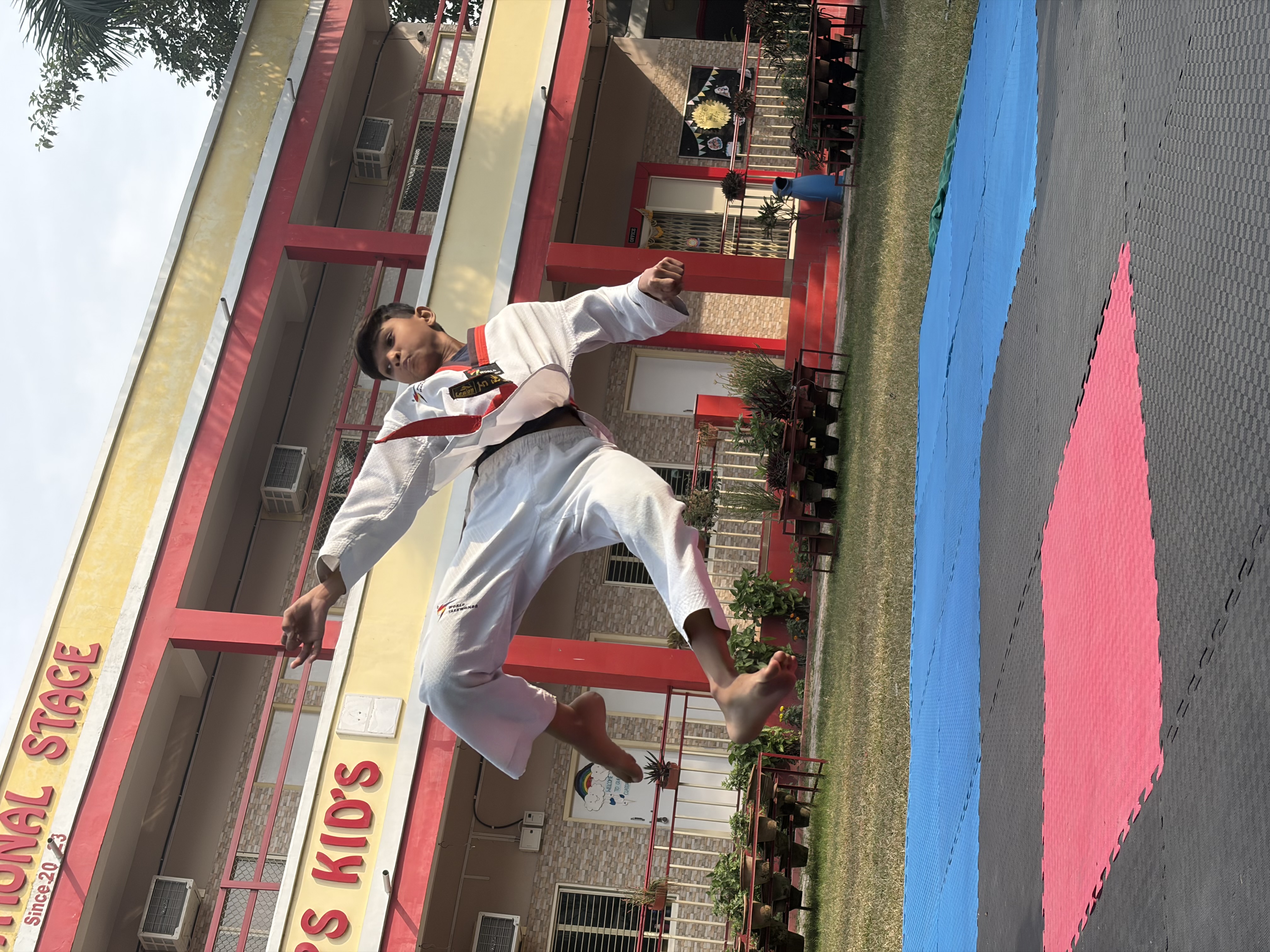 Advanced Kick Technique