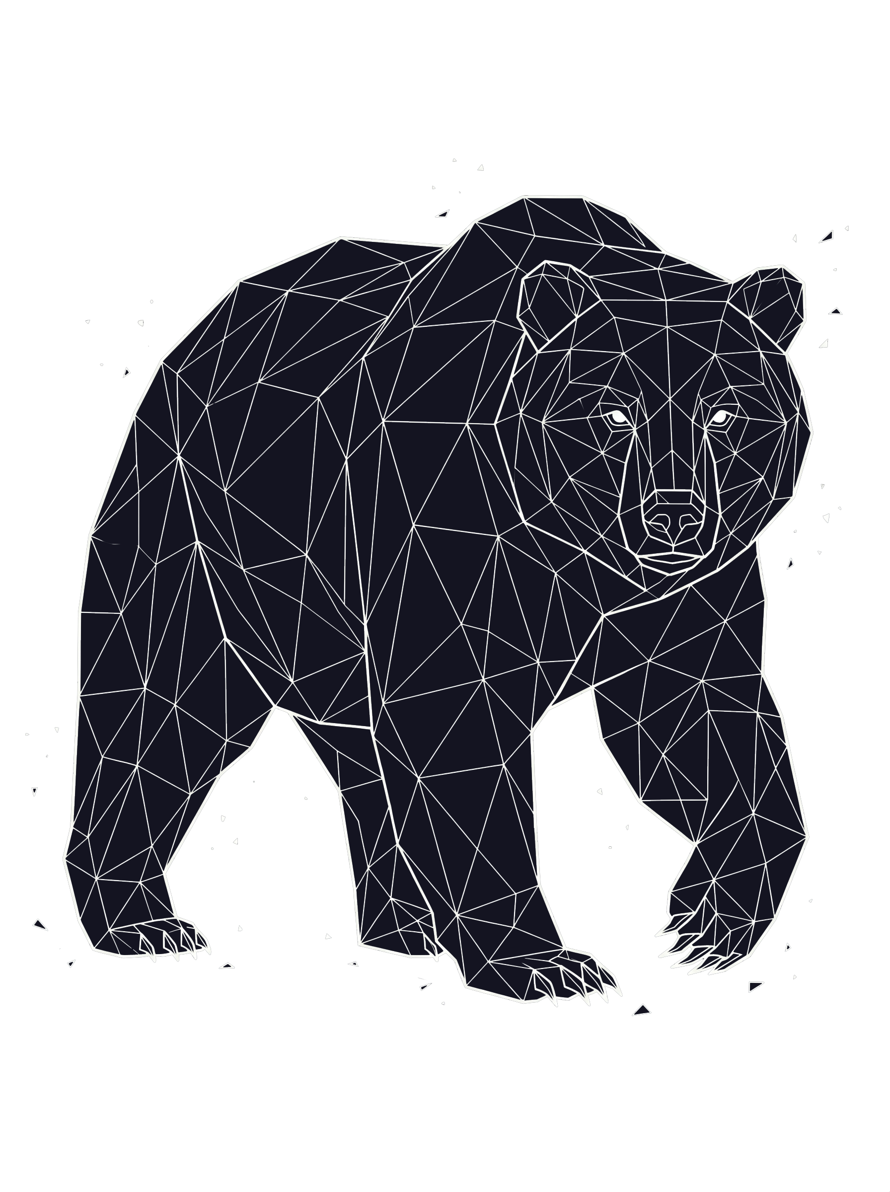 Grizzly Bear