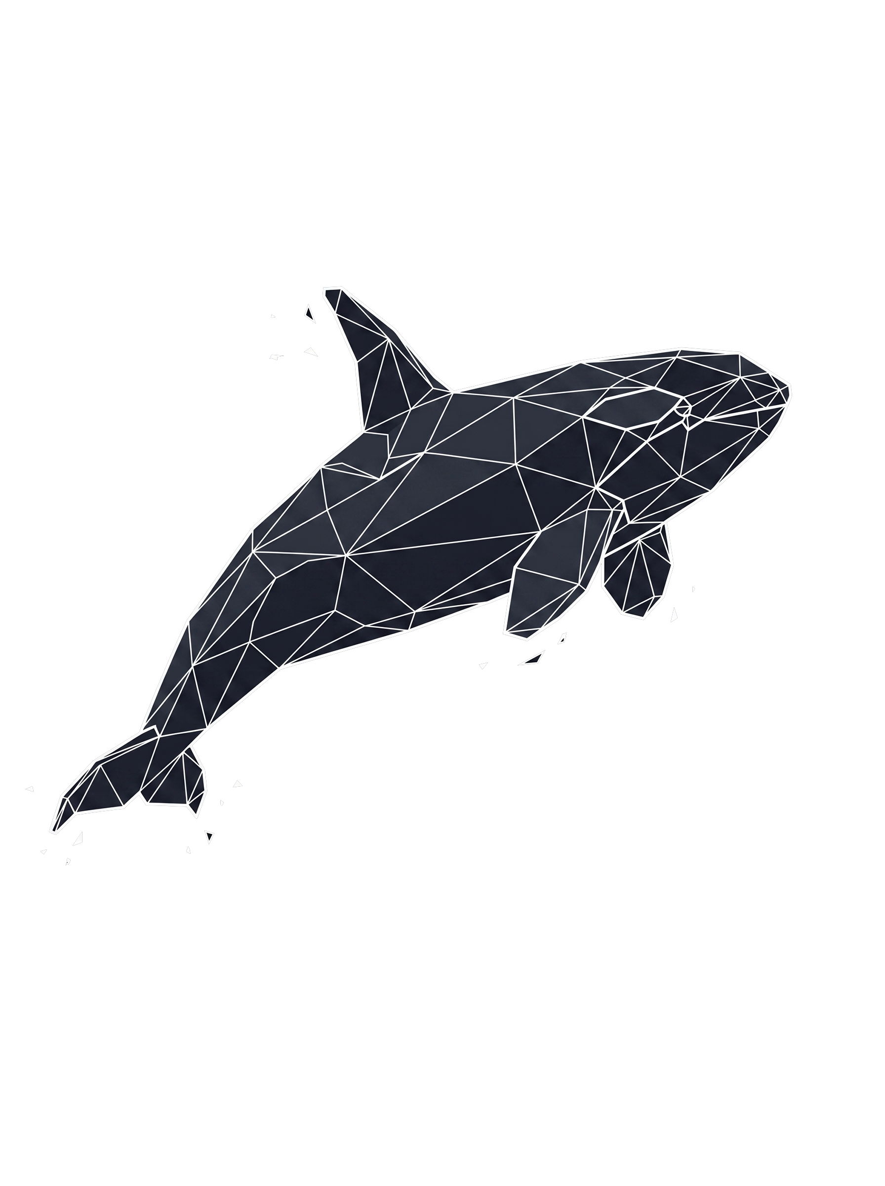 Orca