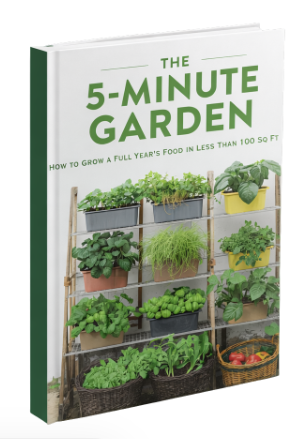 5-Minute Garden