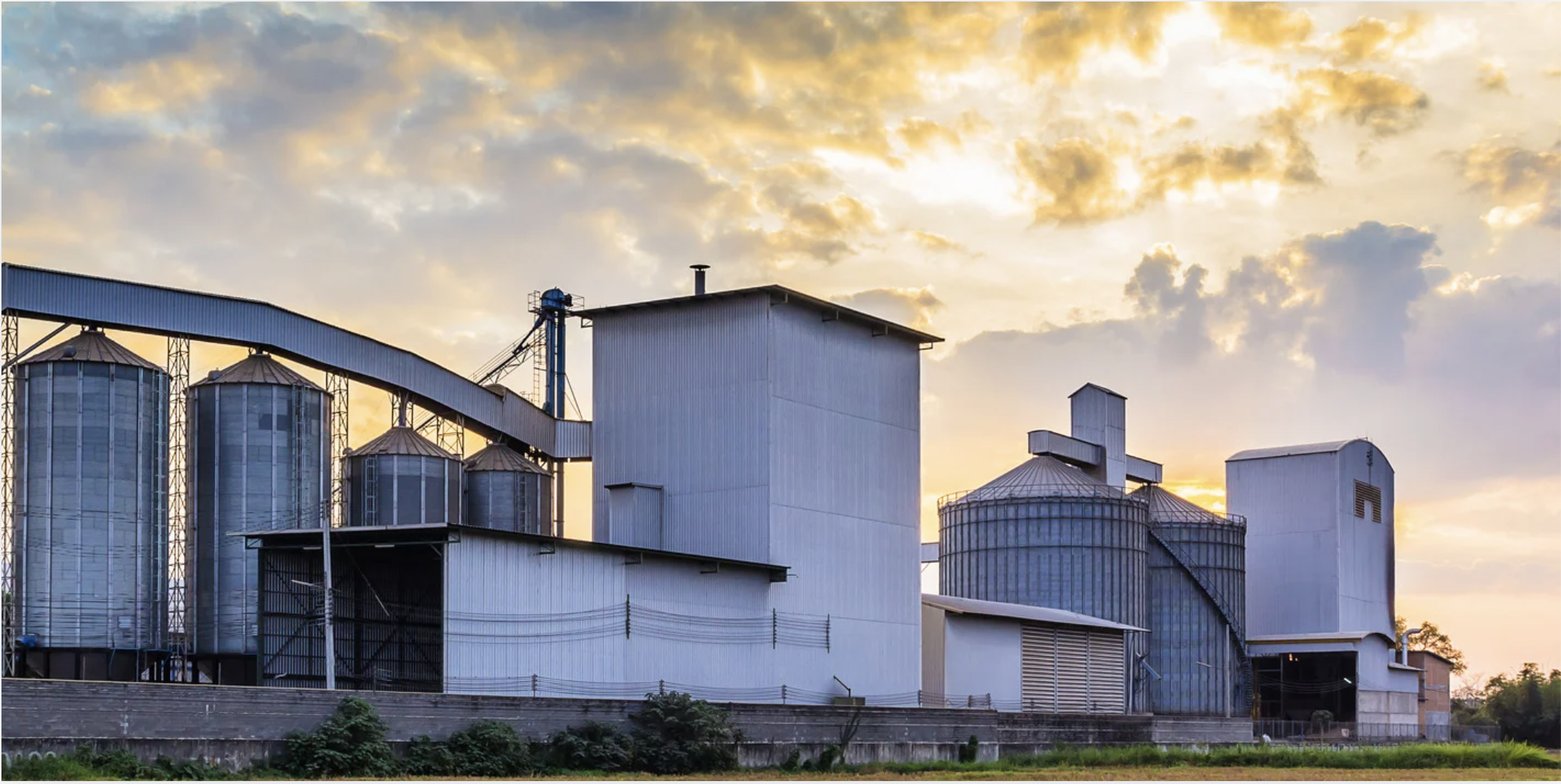 AMBATI VENTURES Rice Mill Facility