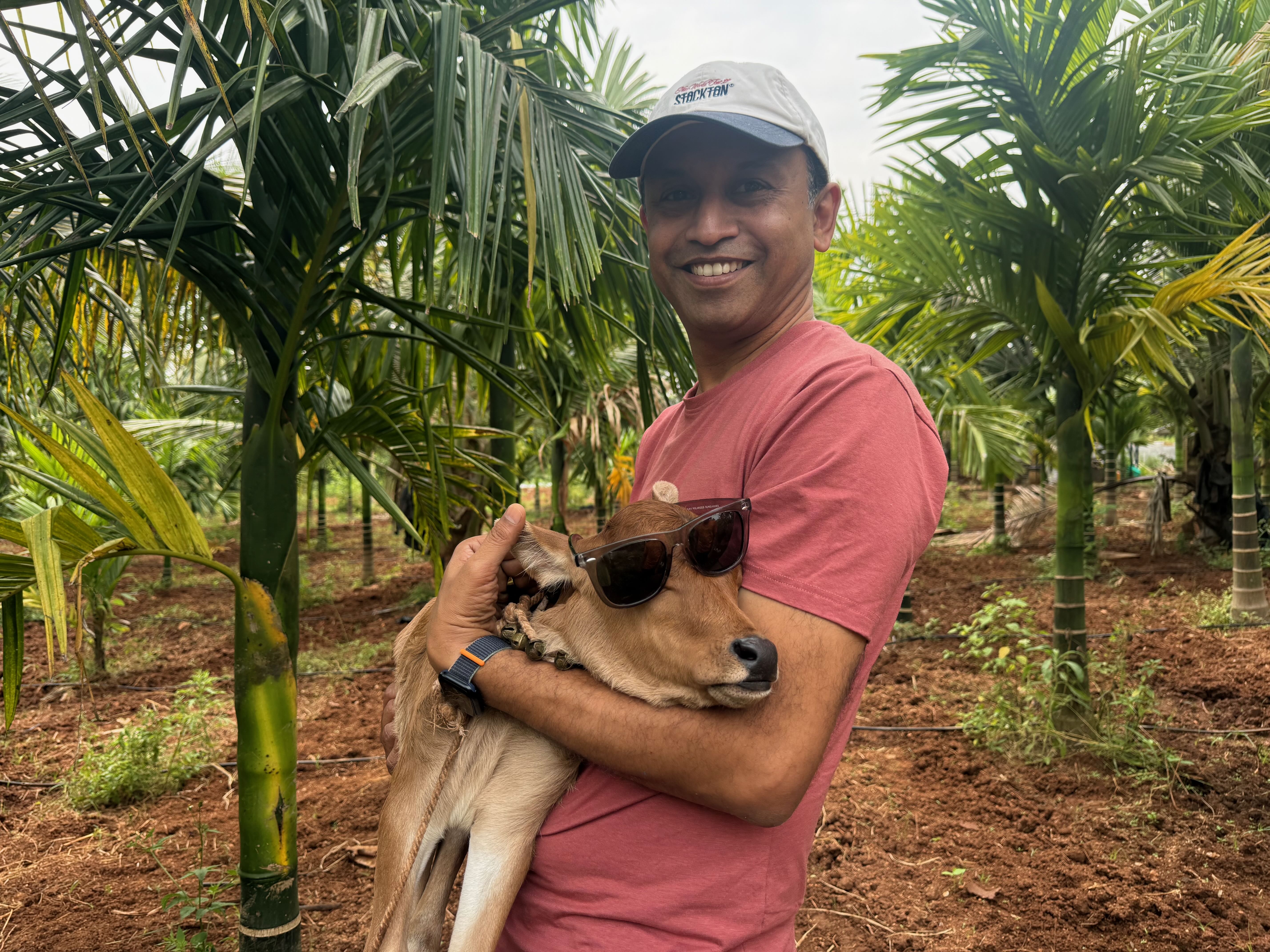 Gautham Gopalakrishna holding a calf among areca palms at Bilva Farms