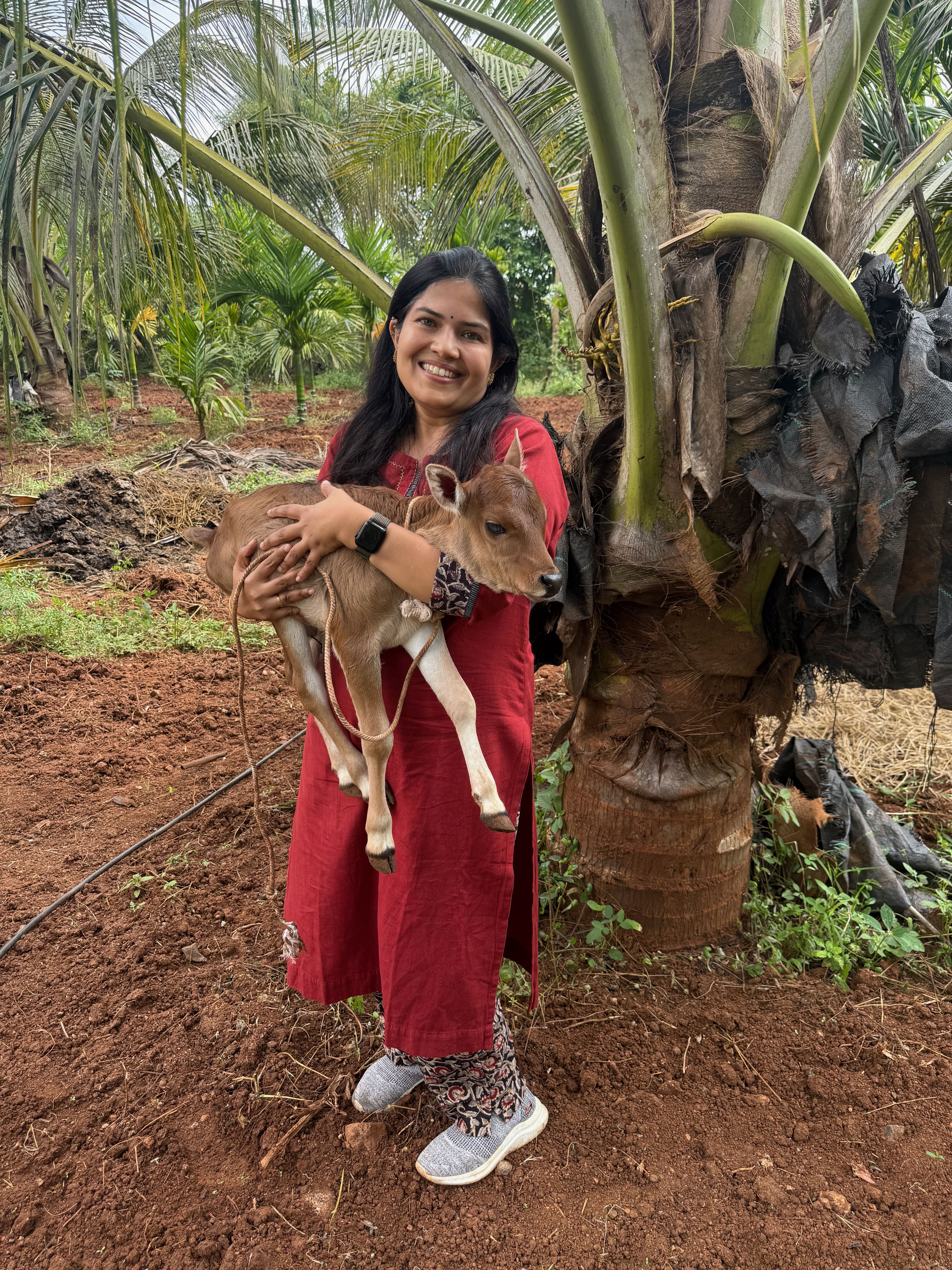 Nandashree Natarajan holding a calf beside a palm tree at Bilva Farms