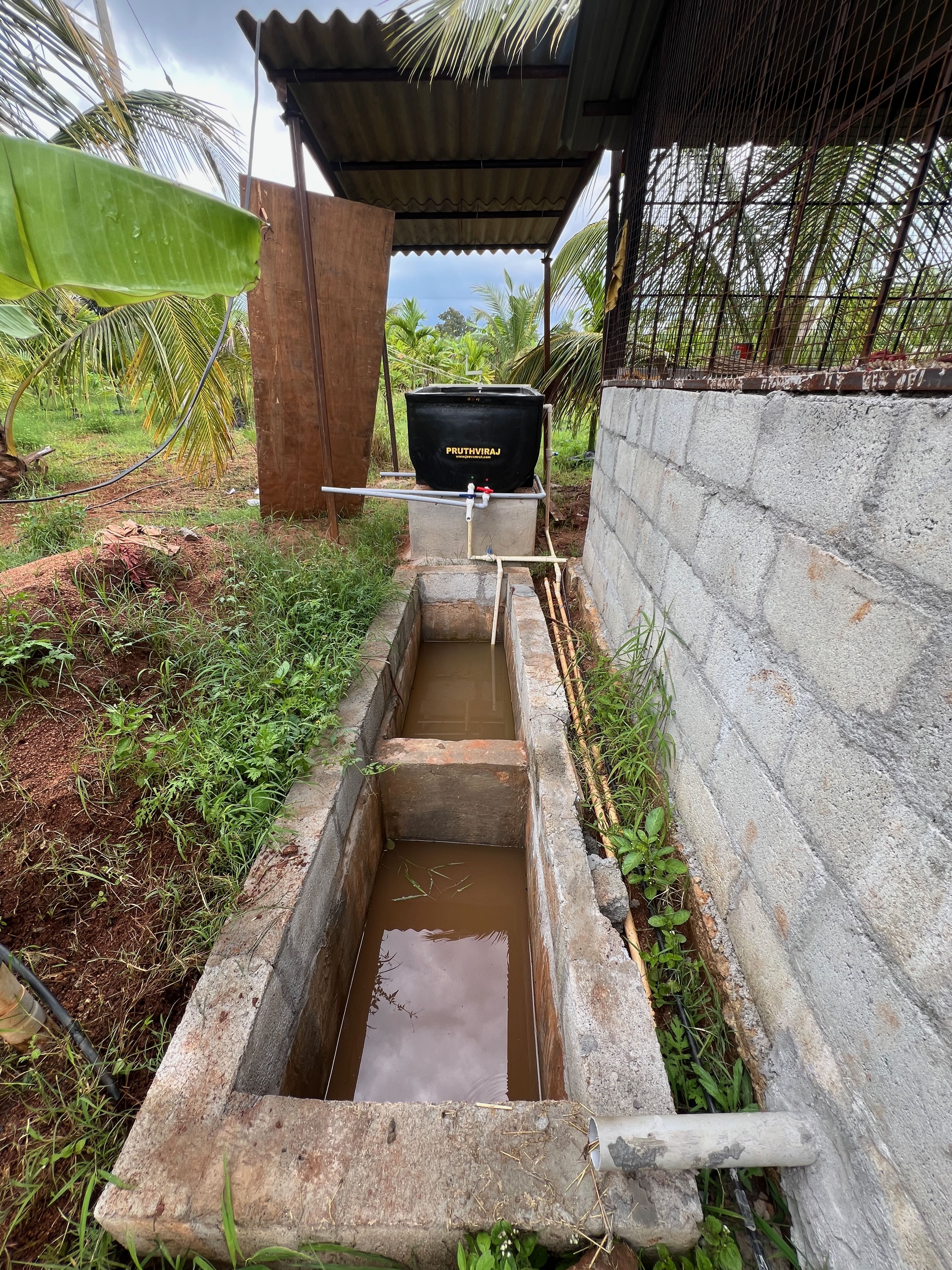 Our Natural Approach to Fertilization and Pest Management
