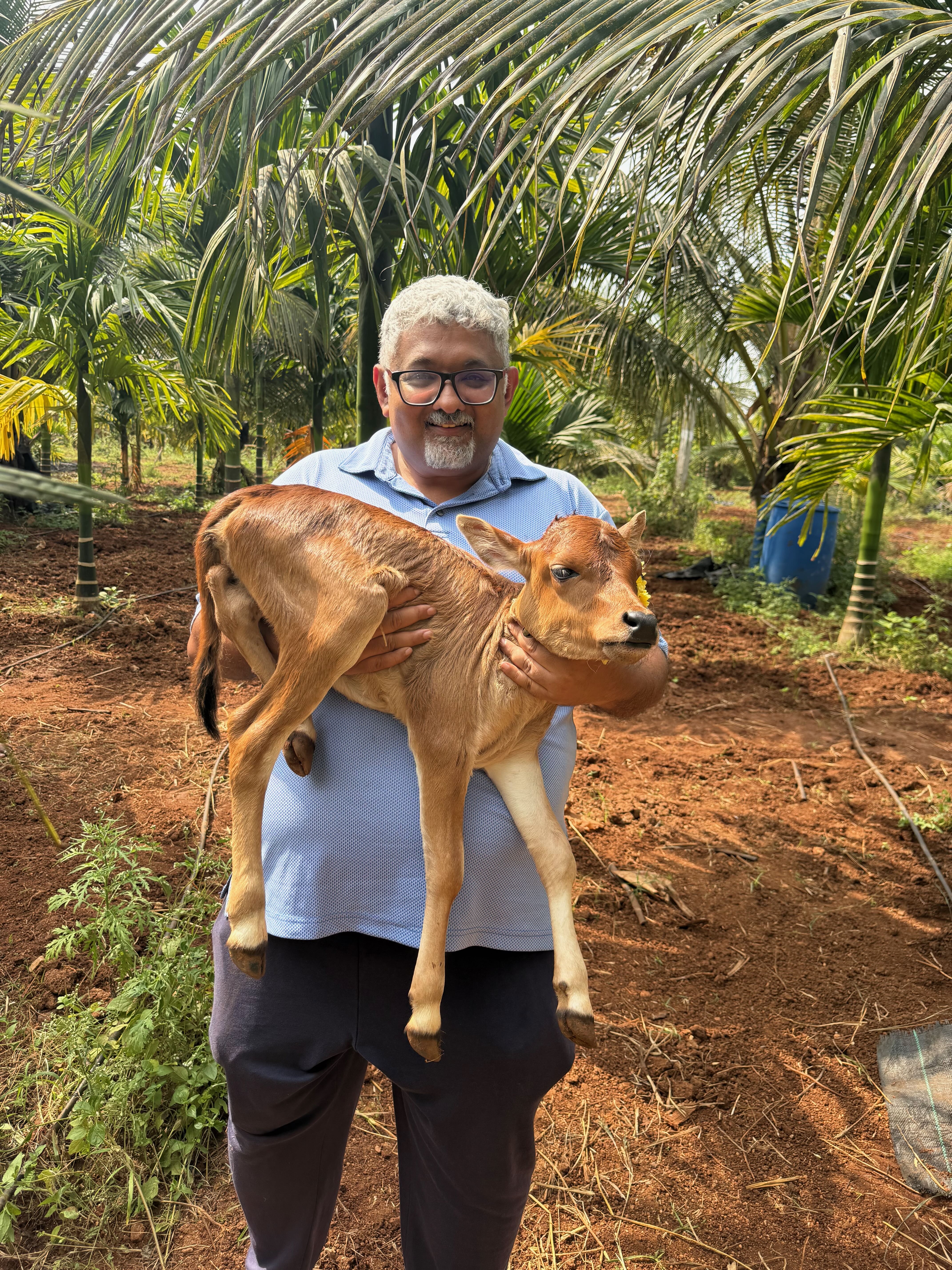 Sharath Haikadi holding a calf under coconut palms at Bilva Farms