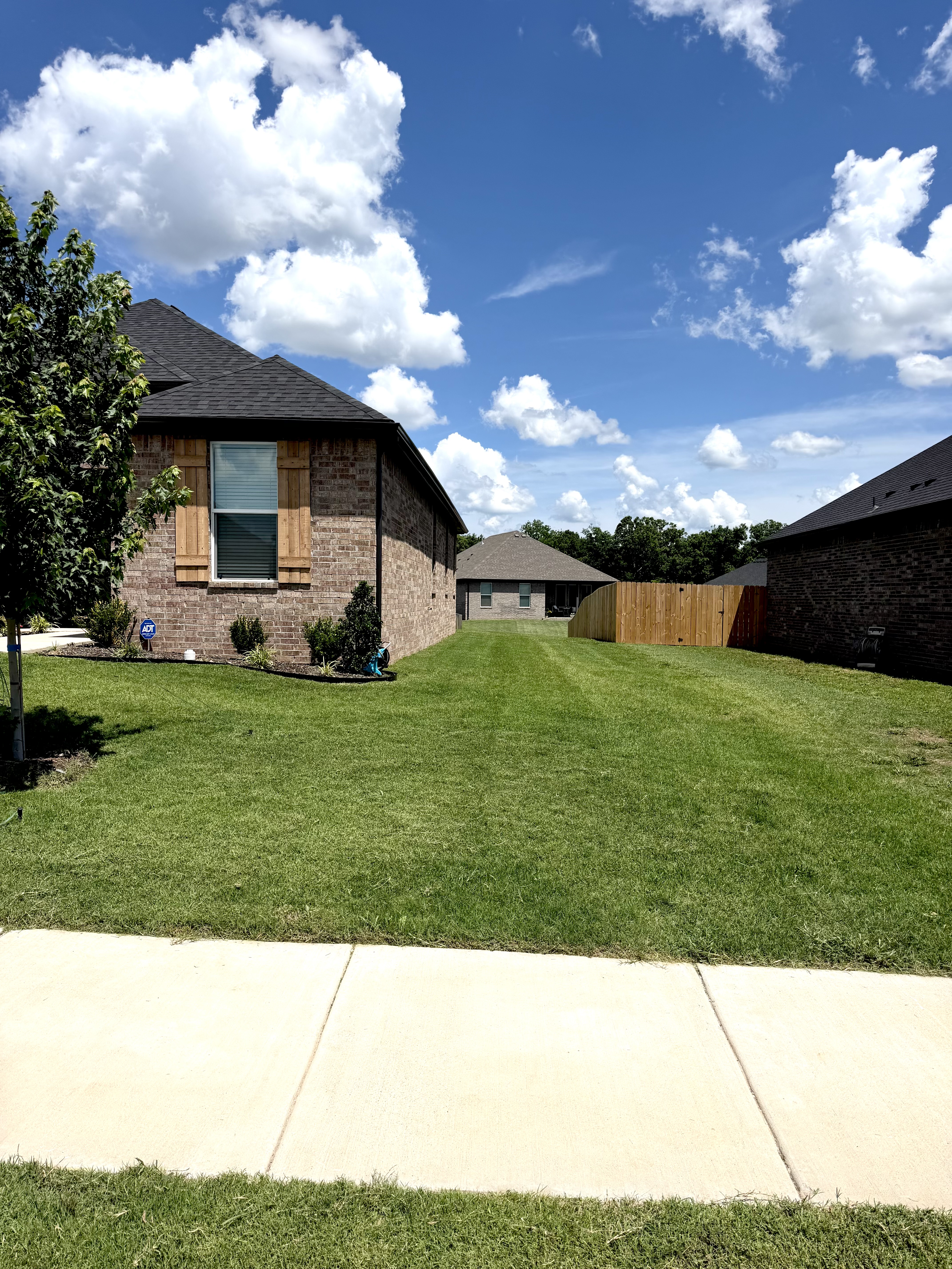 Southern Greens completed lawn