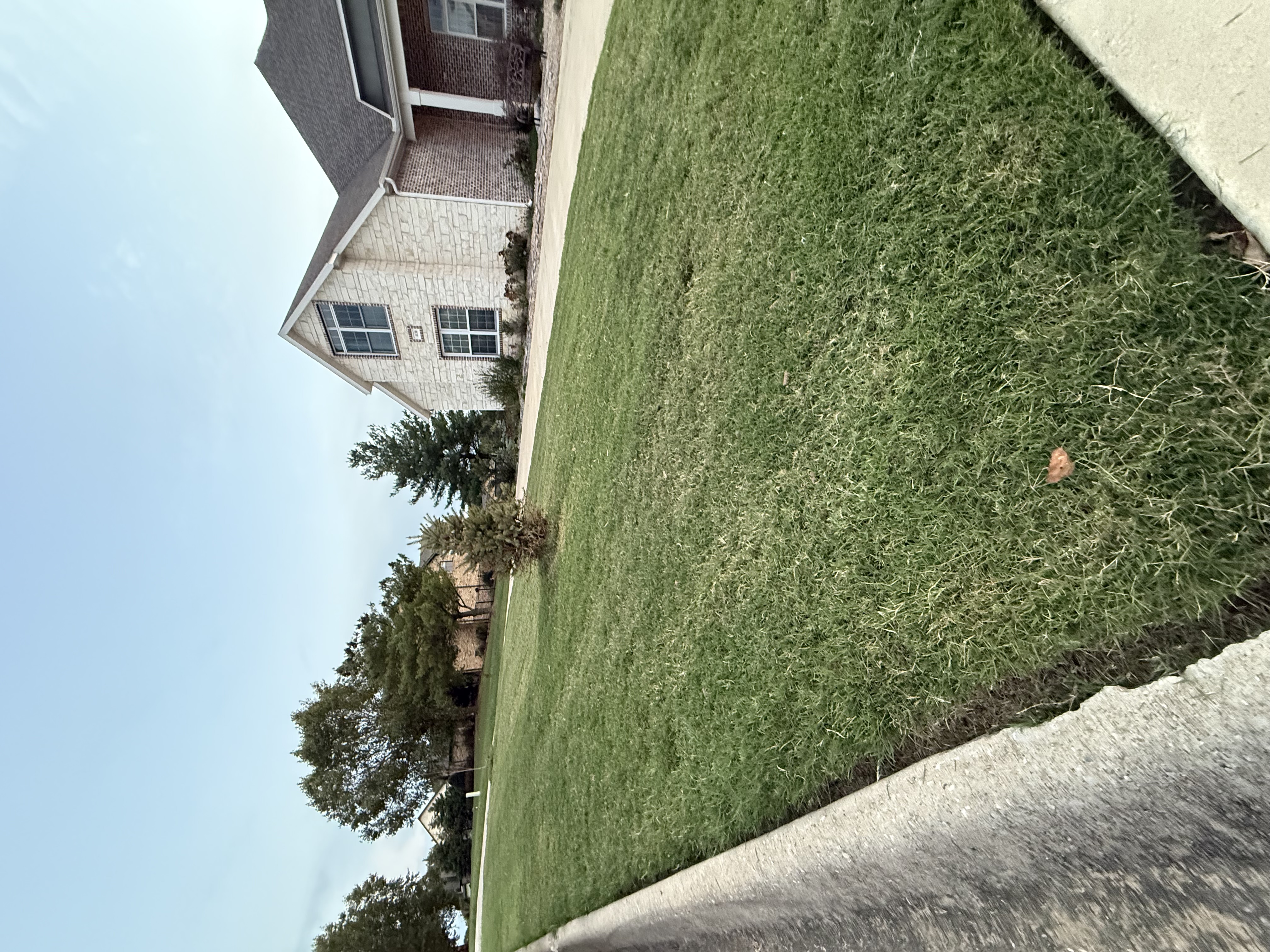 Southern Greens completed lawn