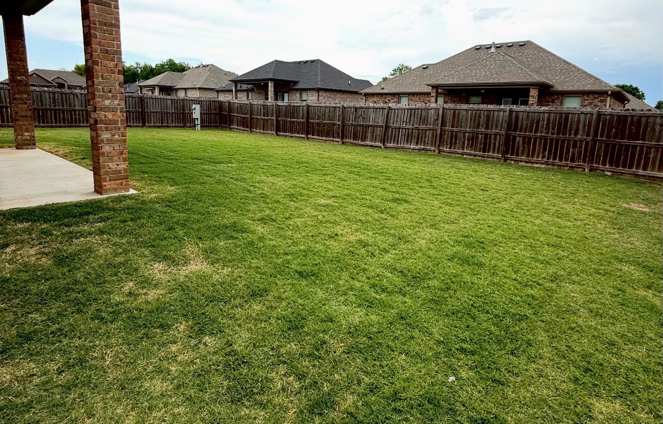 Southern Greens completed lawn