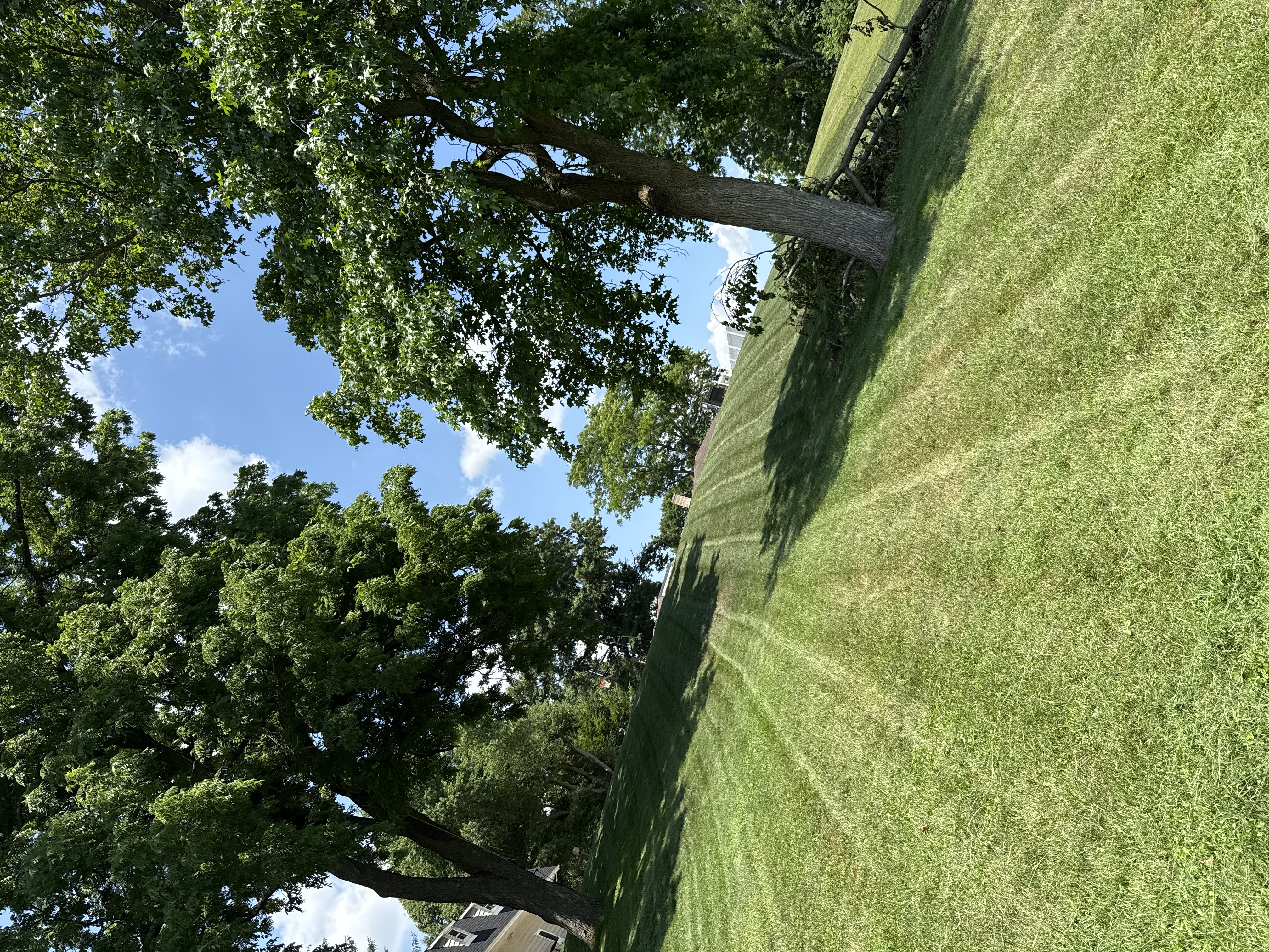RSG Landscaping work 5