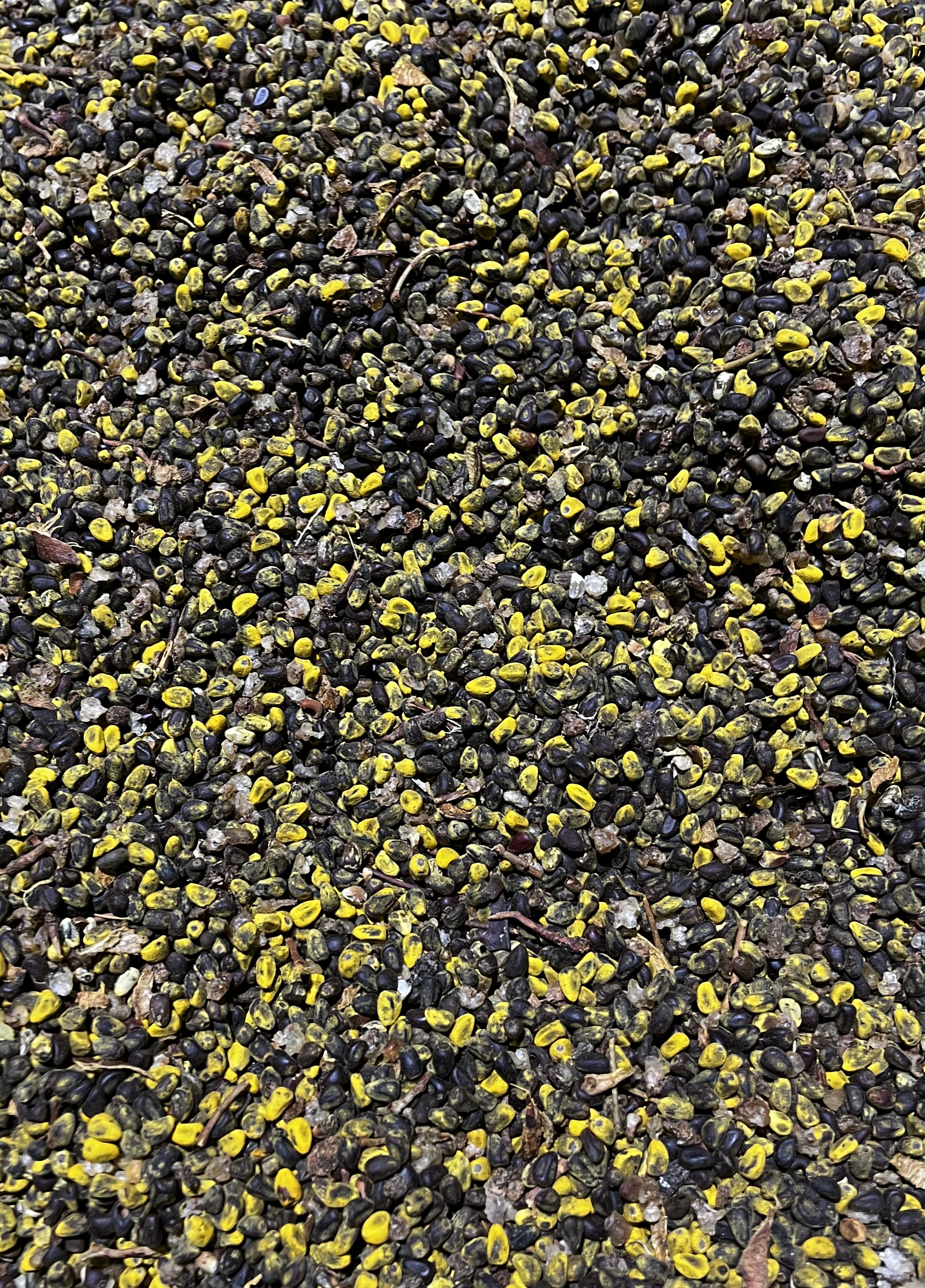 SeedKeepers