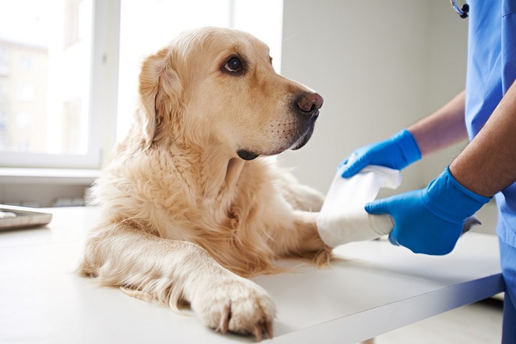Tending to Your Injury