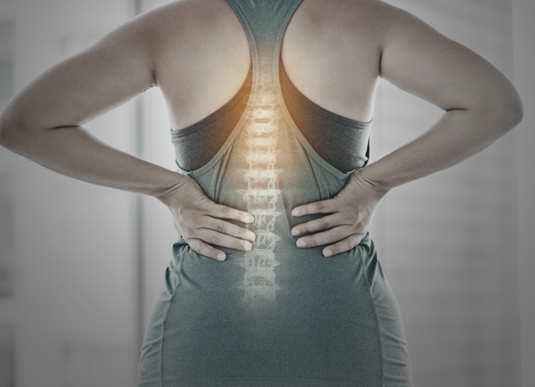 The Back Reset Program