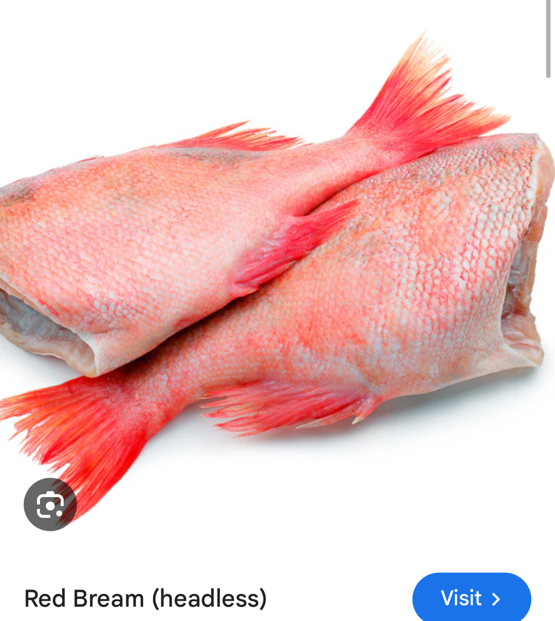 Red Bream (Headless)