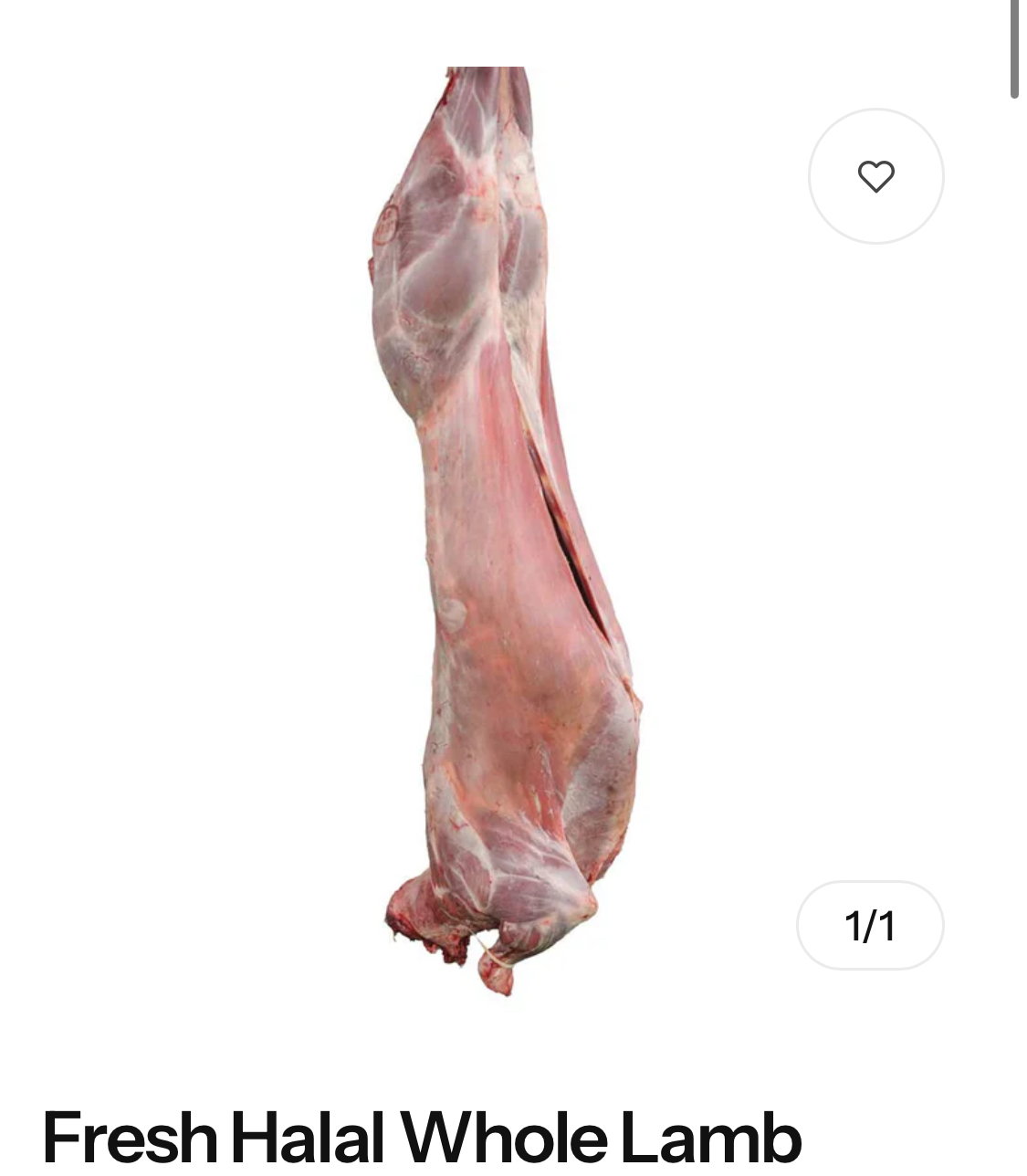 Fresh Halal Whole Lamb
