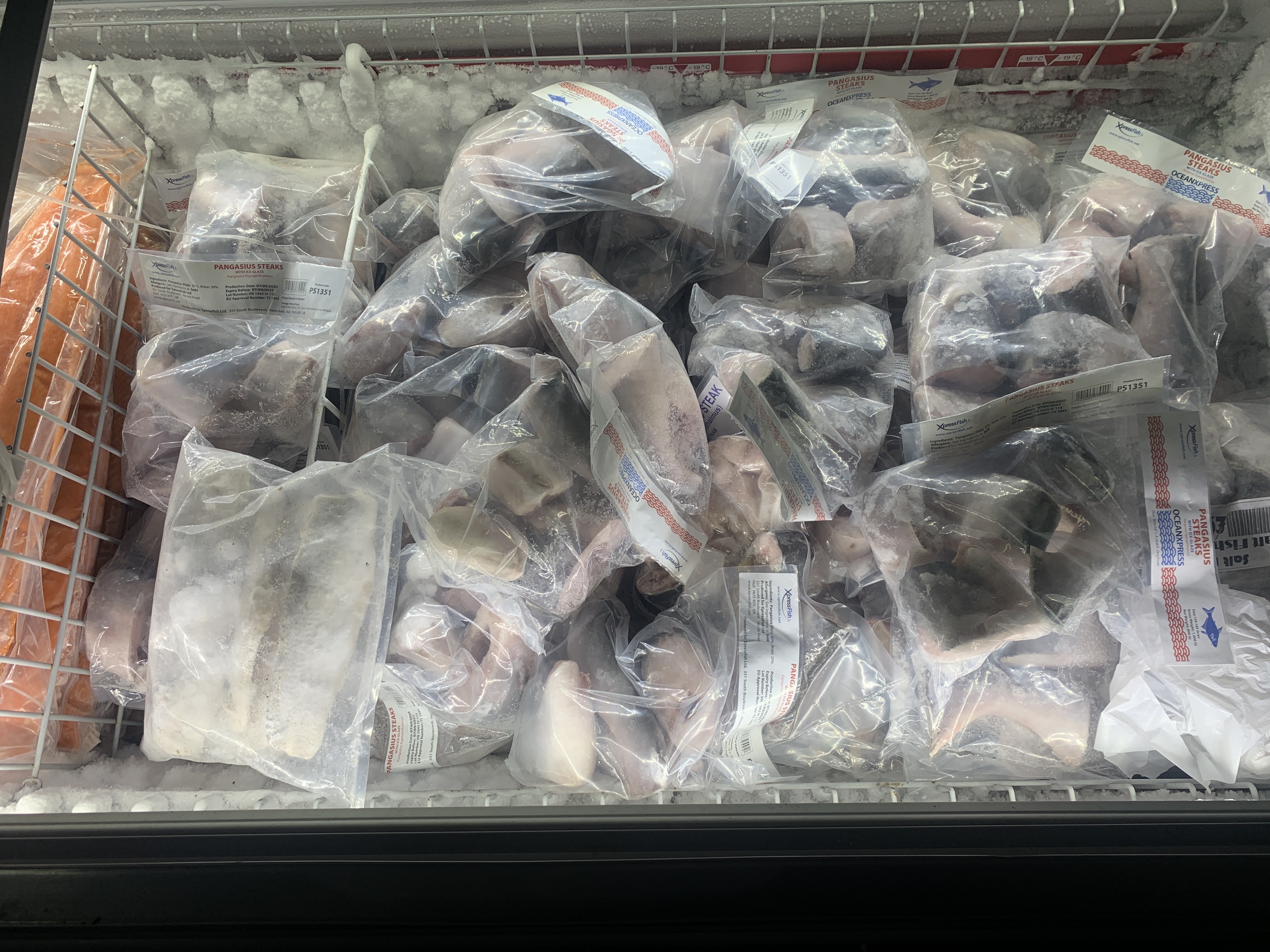 Frozen fish - Pangasius steaks