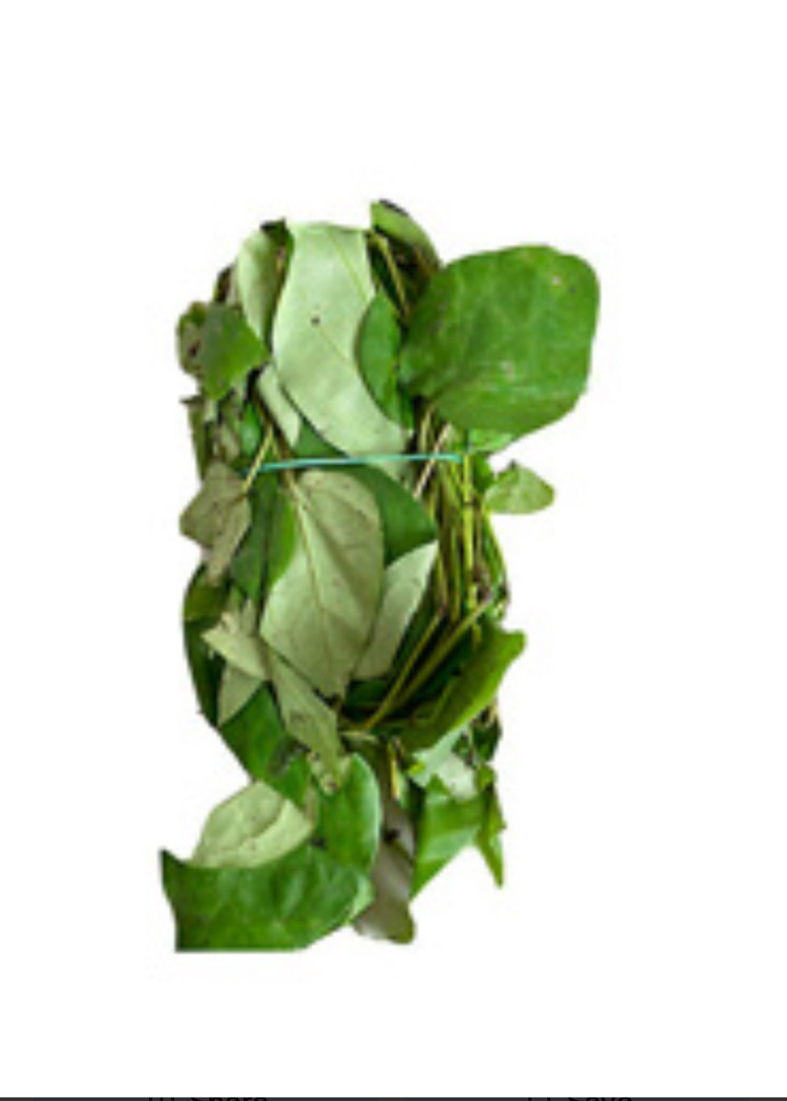 Okazi Leaf