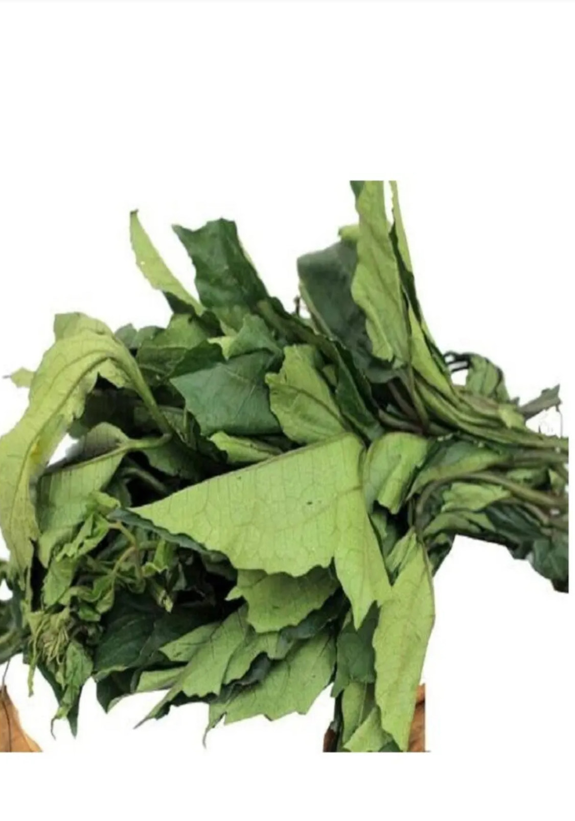 Ugu Leaf