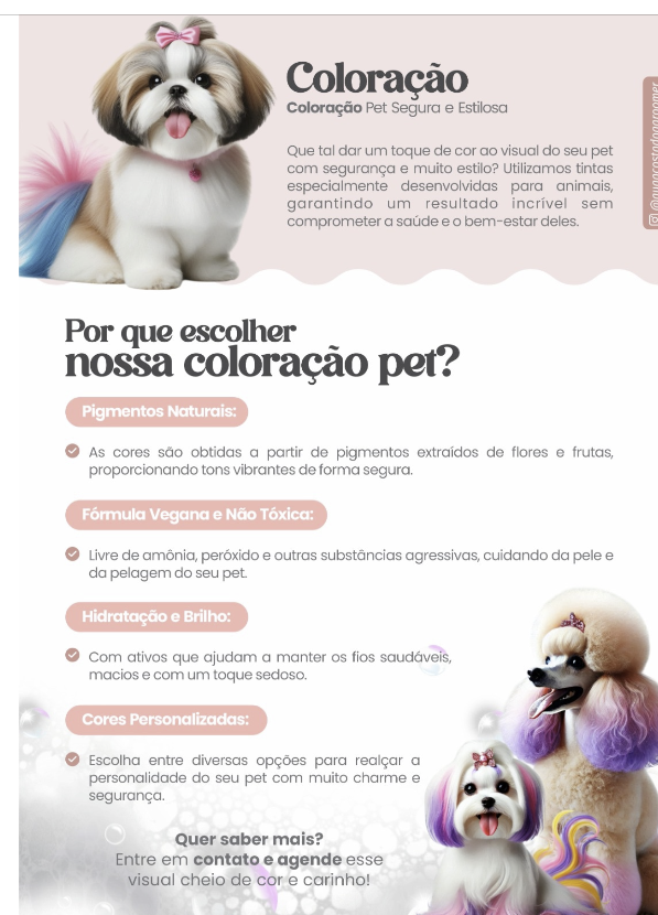 Coloração pet com segurança