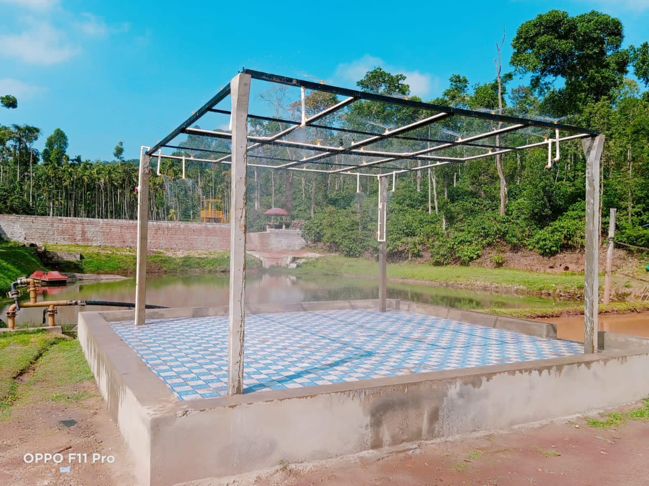 Rain Dance at Guddada Siri Homestay
