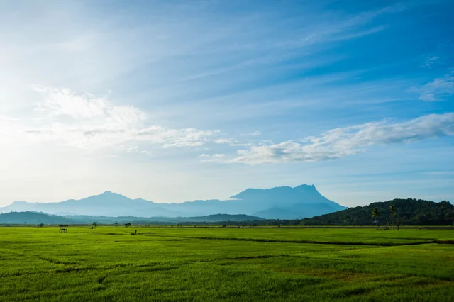 Beautiful Kota Belud landscape with Mount Kinabalu