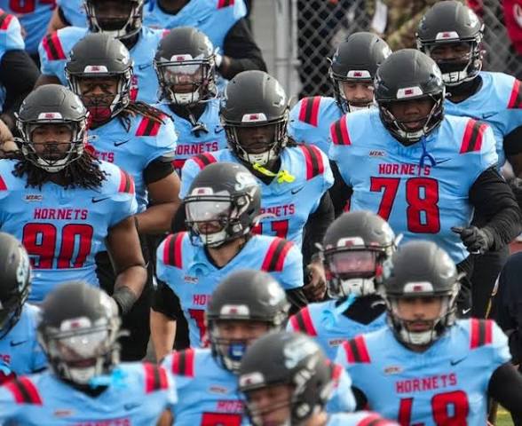 Delaware State Hornets