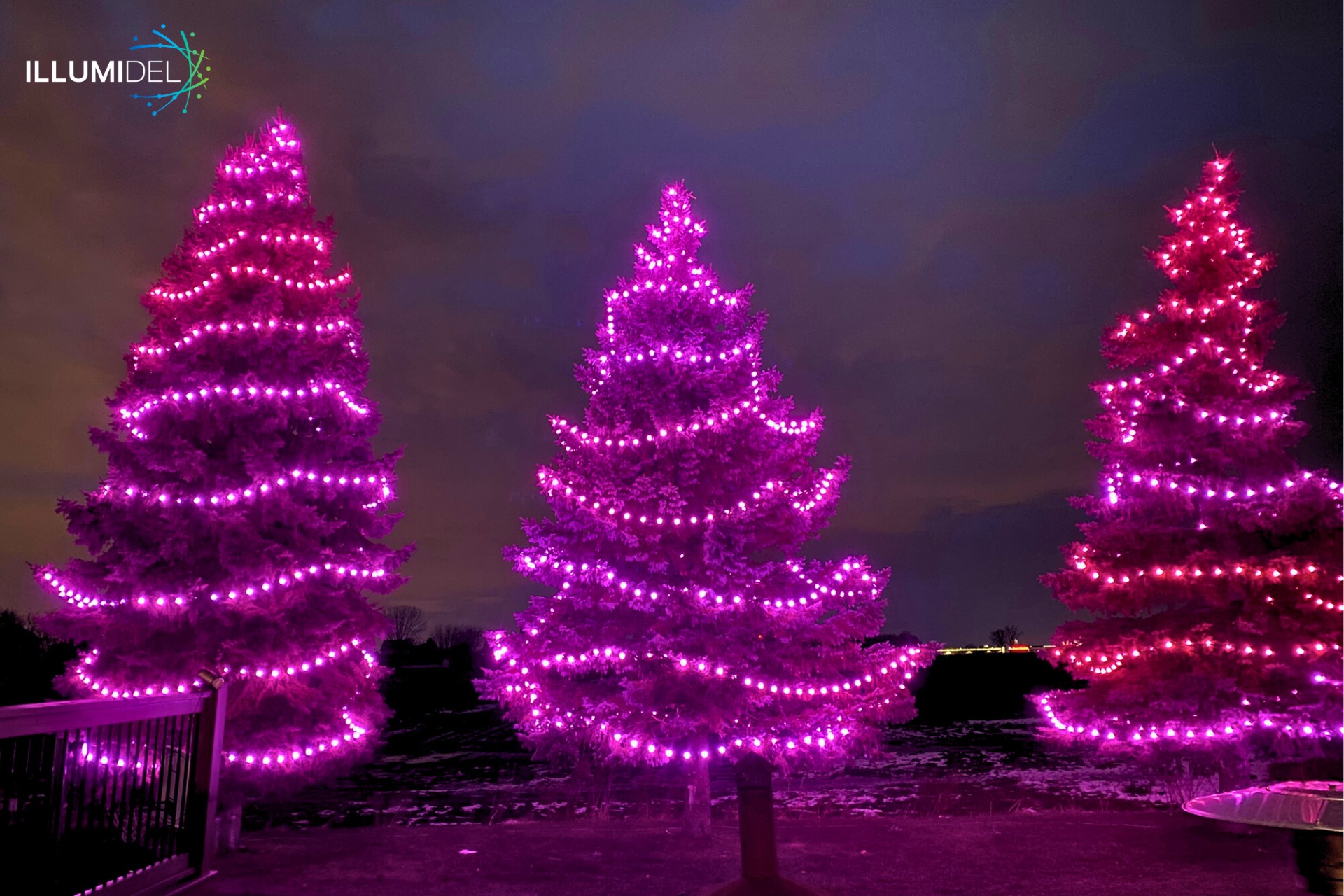 Permanent Lighting Installation 13