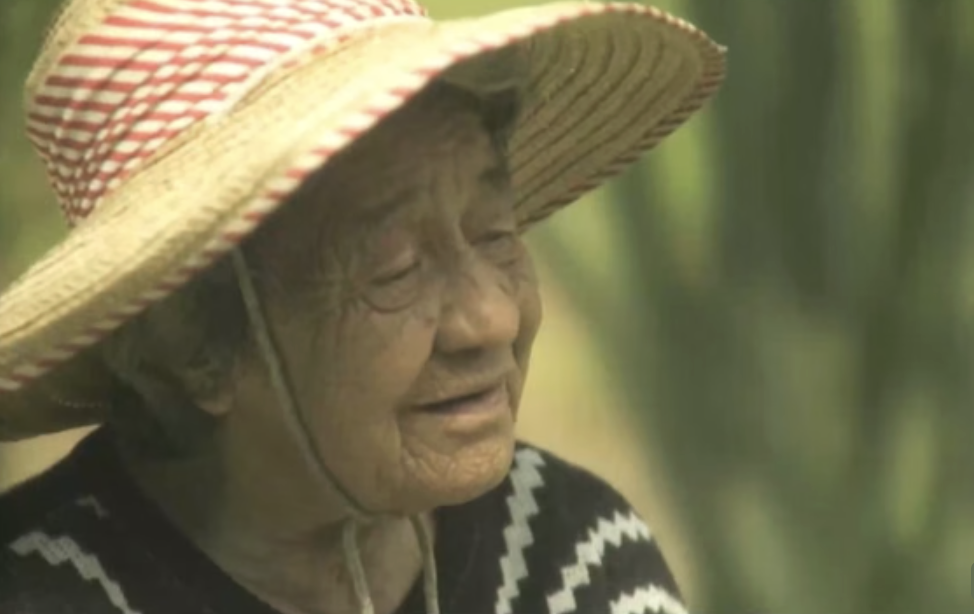 Kōwhao Rau — 65 kaumātua episodes