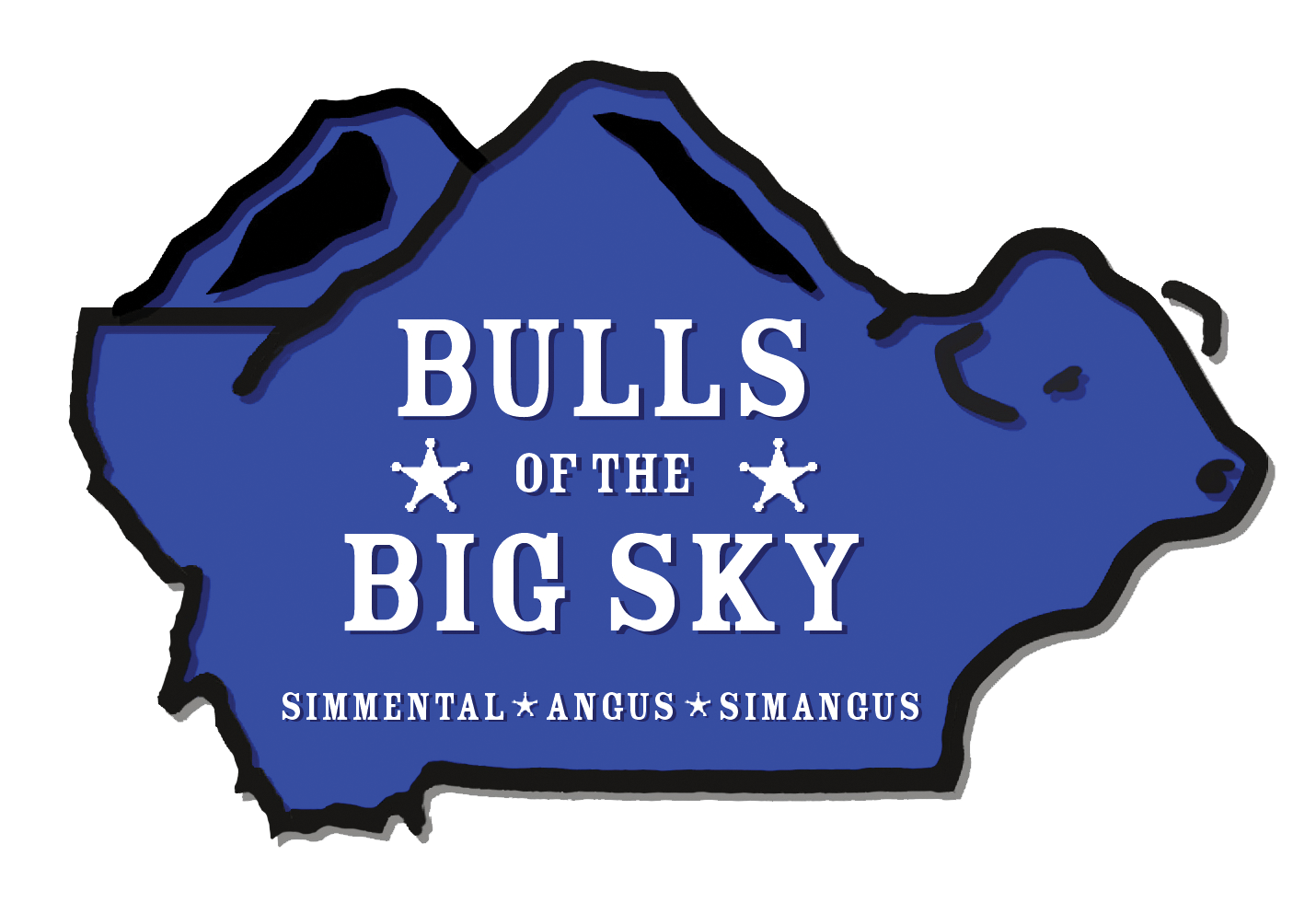 Bulls of the Big Sky logo
