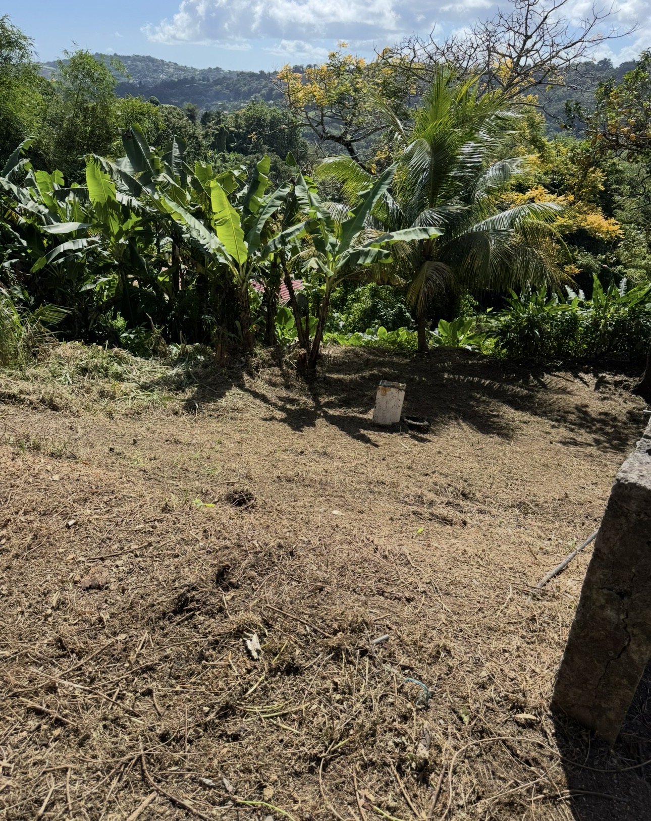 Remise en état jardin