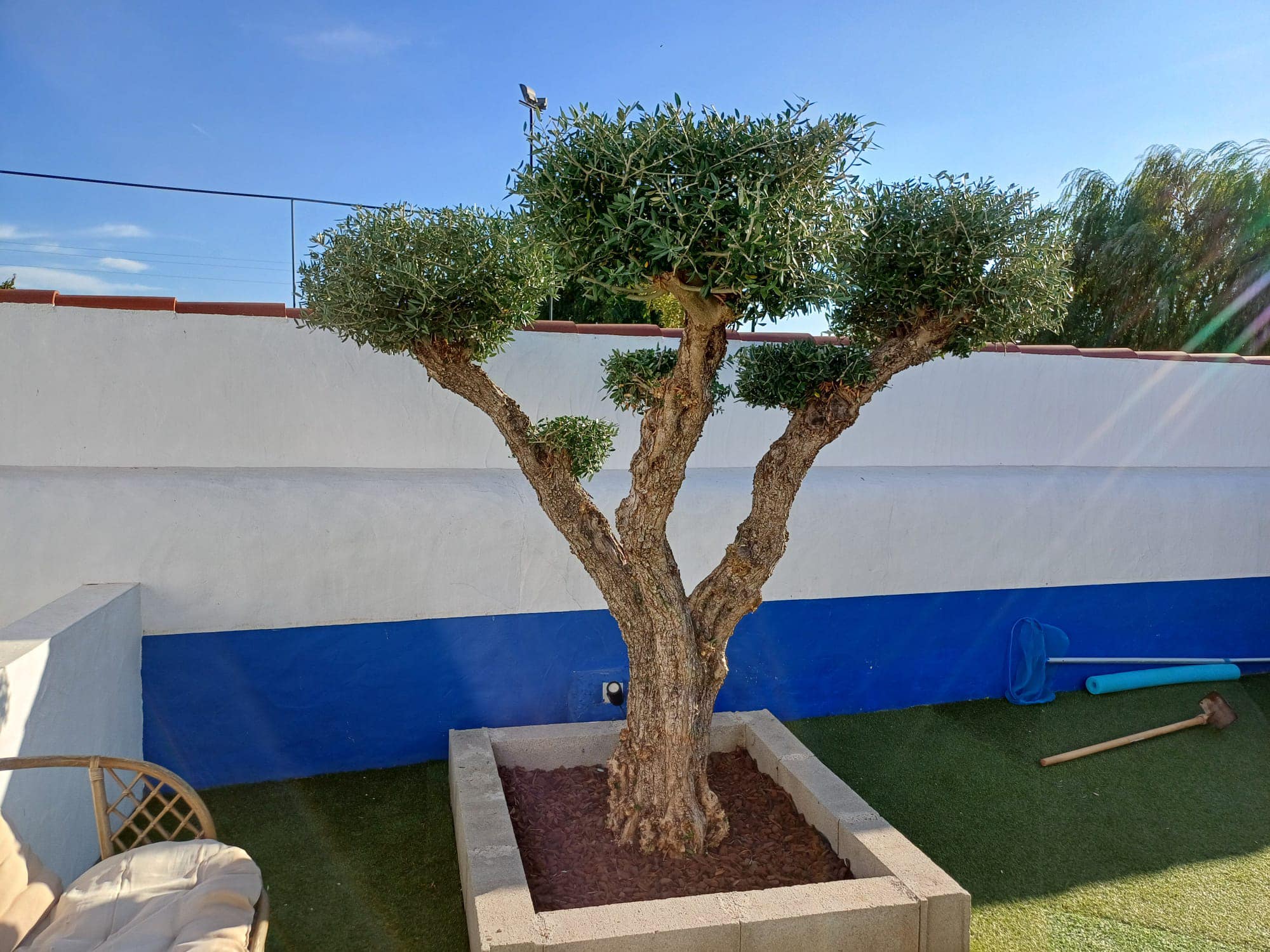 Paisagismo & Projetos
