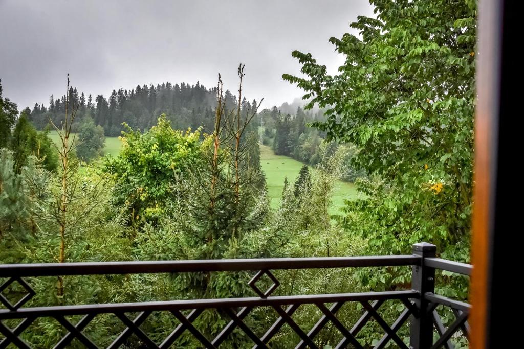 Widok z tarasu na góry