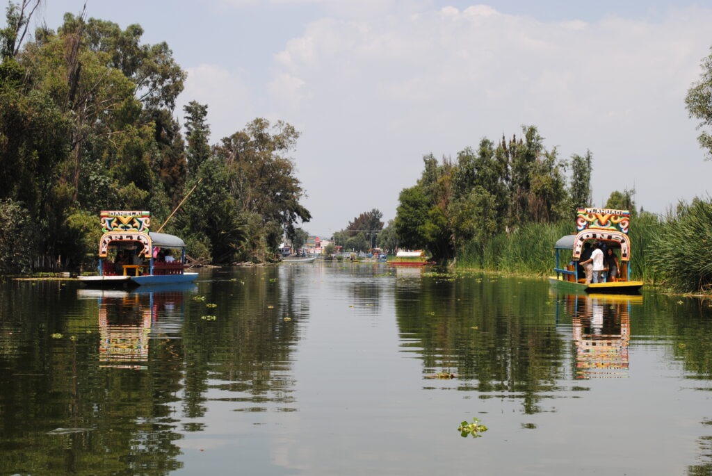 Lake of the Kings Kayak Experience