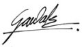 CEO Signature