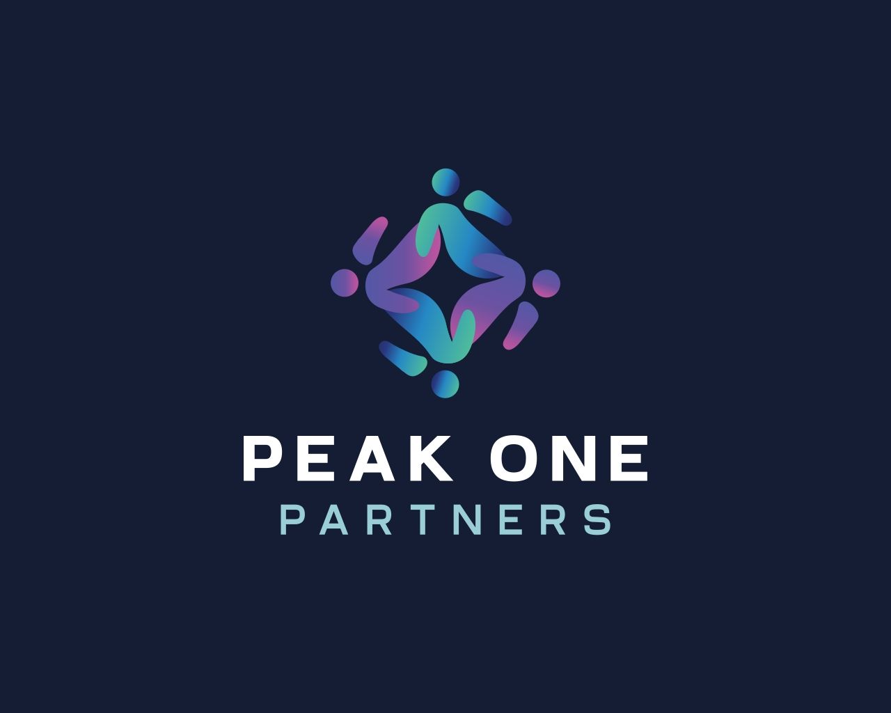 Peak One Partners
