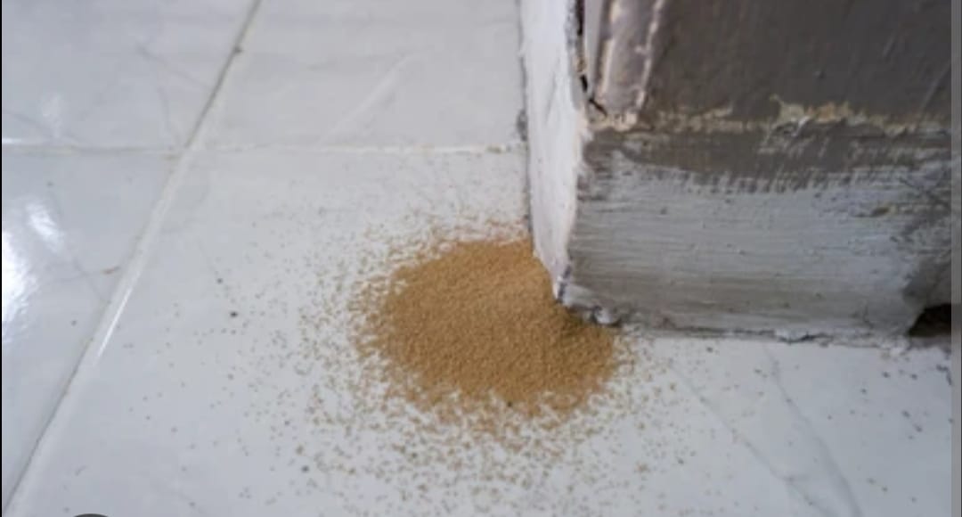 Sawdust accumulation on floor beneath furniture