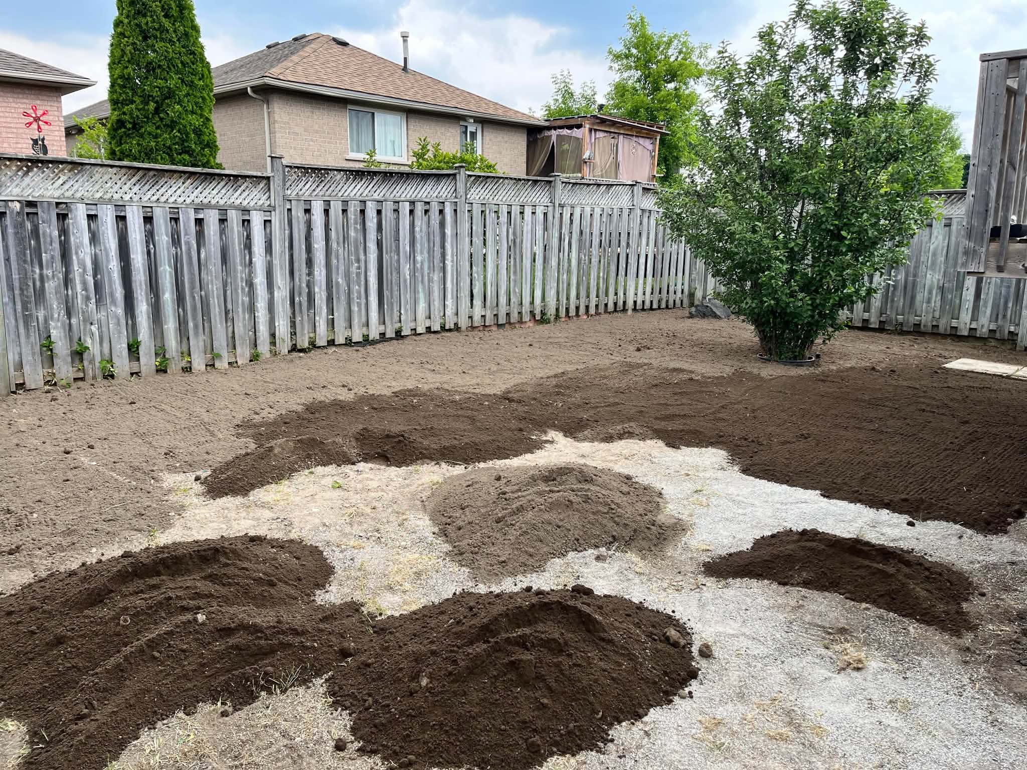 Backyard mid-project — fresh topsoil and grading prep ready for new sod and garden beds