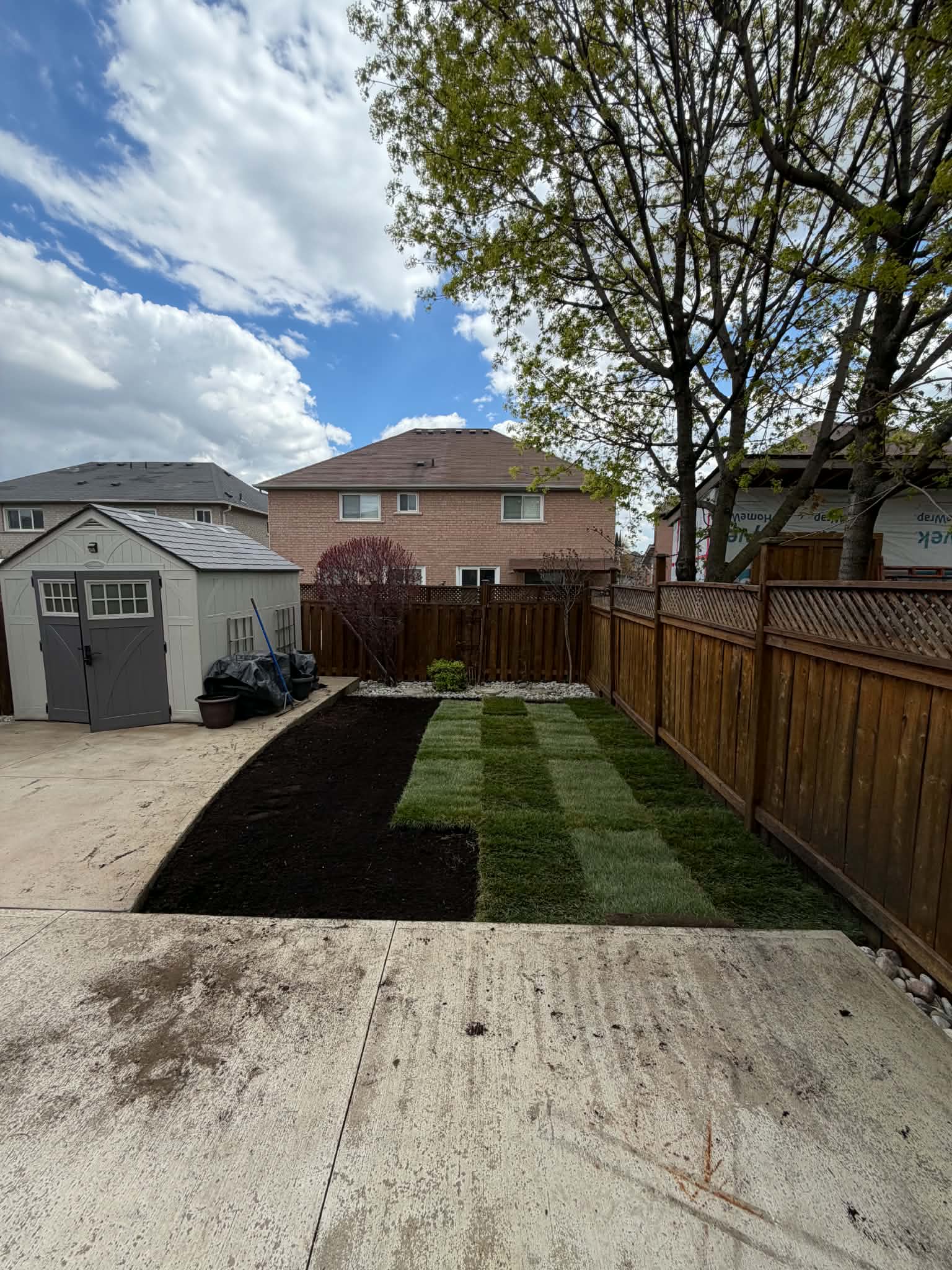 Backyard transformation with fresh mulch bed, river-rock border and new sod beside an existing shed