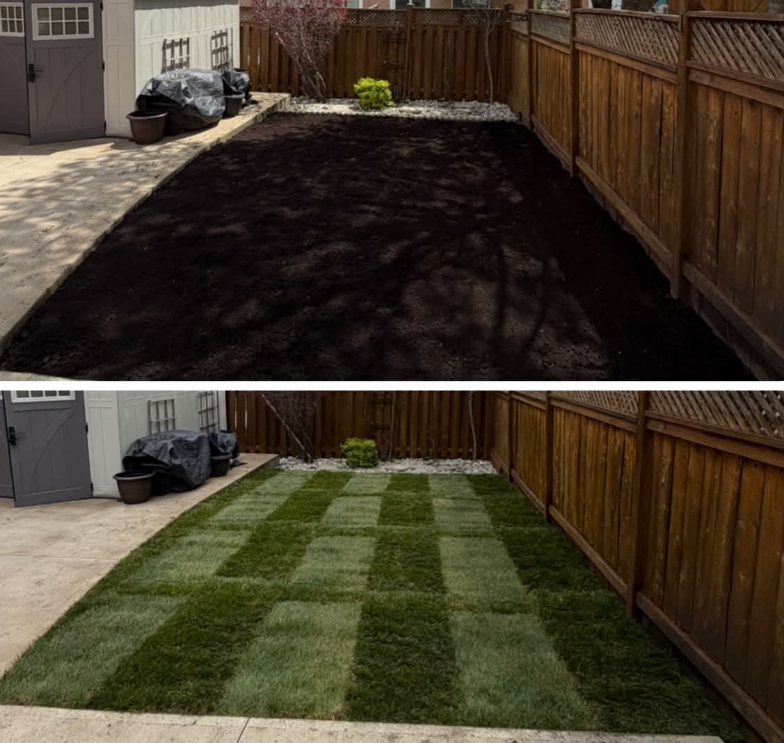 Backyard transformation before and after — bare soil prep transformed into a sharp striped sod lawn