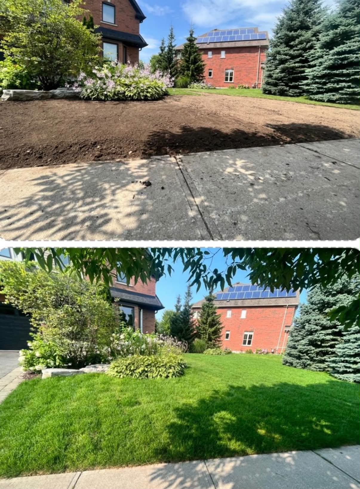 Front yard re-grading and re-sodding — bare dirt prep transformed into a lush green established lawn with garden beds