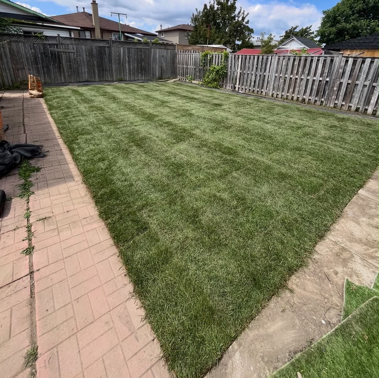 Fresh sod backyard next to a paver patio with a wooden fence boundary