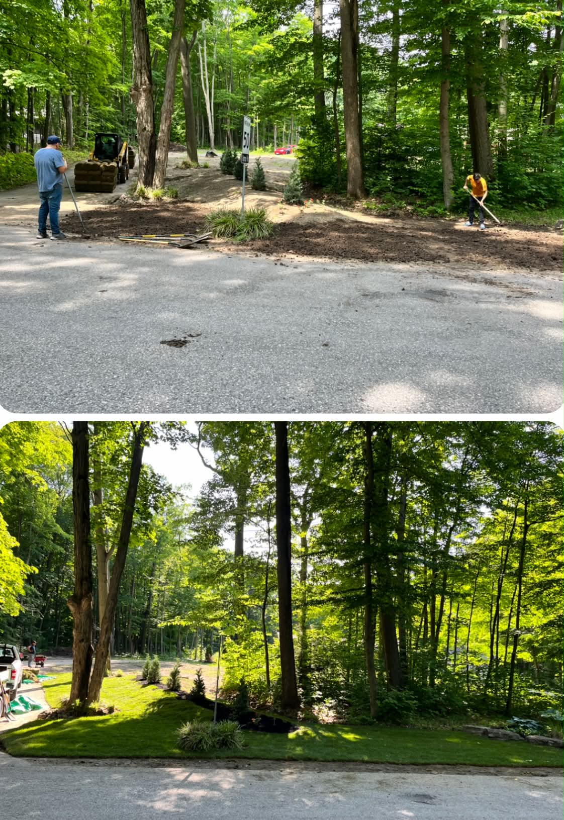 Forested roadside property transformation — dirt prep with crew working, finished with lush sod and shaded garden beds