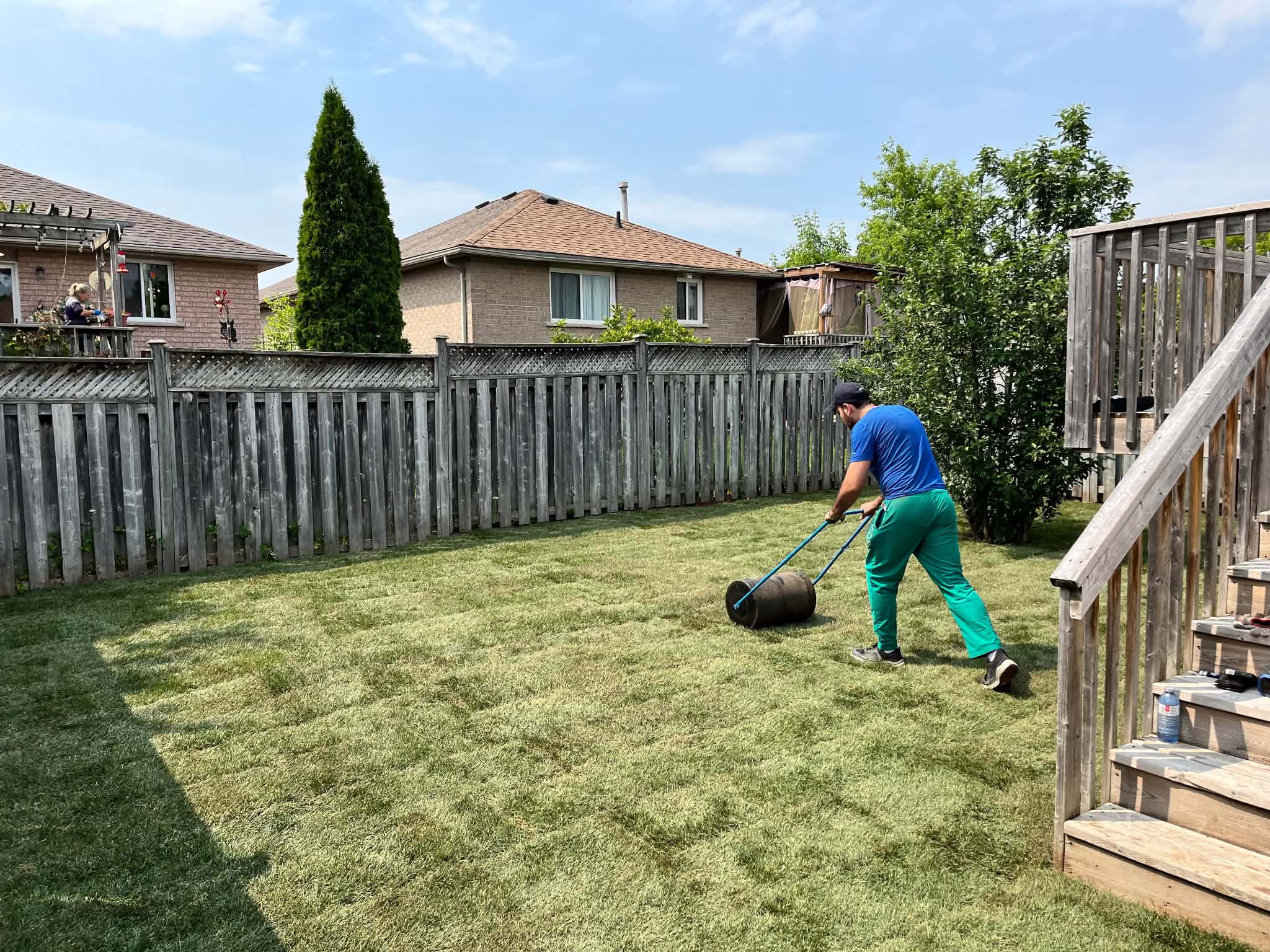Andrew rolling freshly laid sod in a Barrie backyard to ensure tight contact with the soil