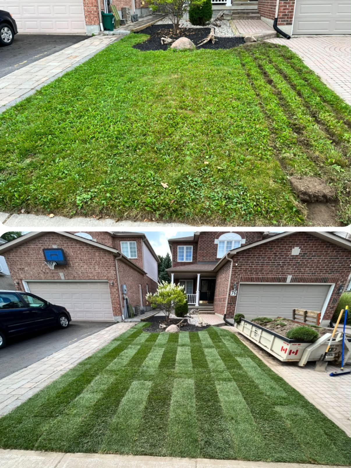 Lawn rehabilitation transformation — patchy weedy lawn replaced with crisp striped fresh sod