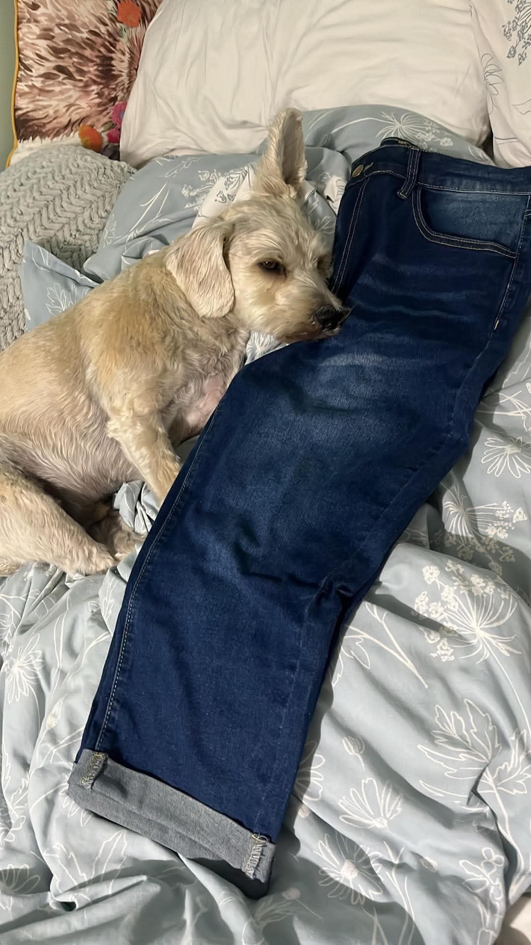 Customer in stretch denim and a tee