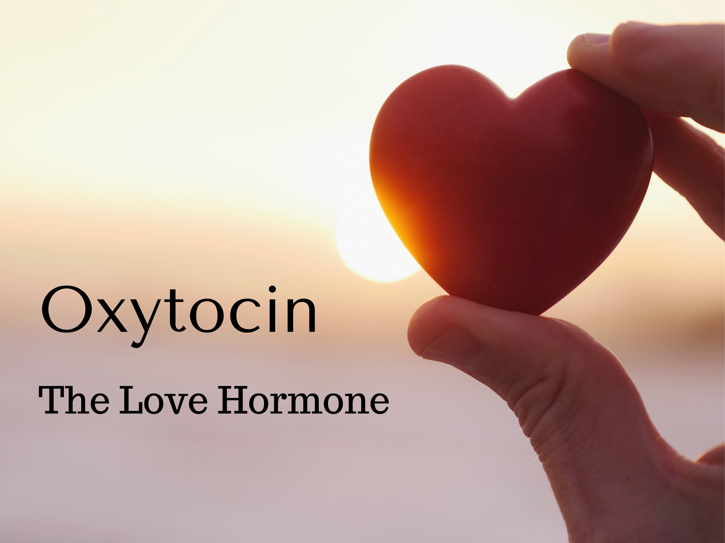 Love and Oxytocin