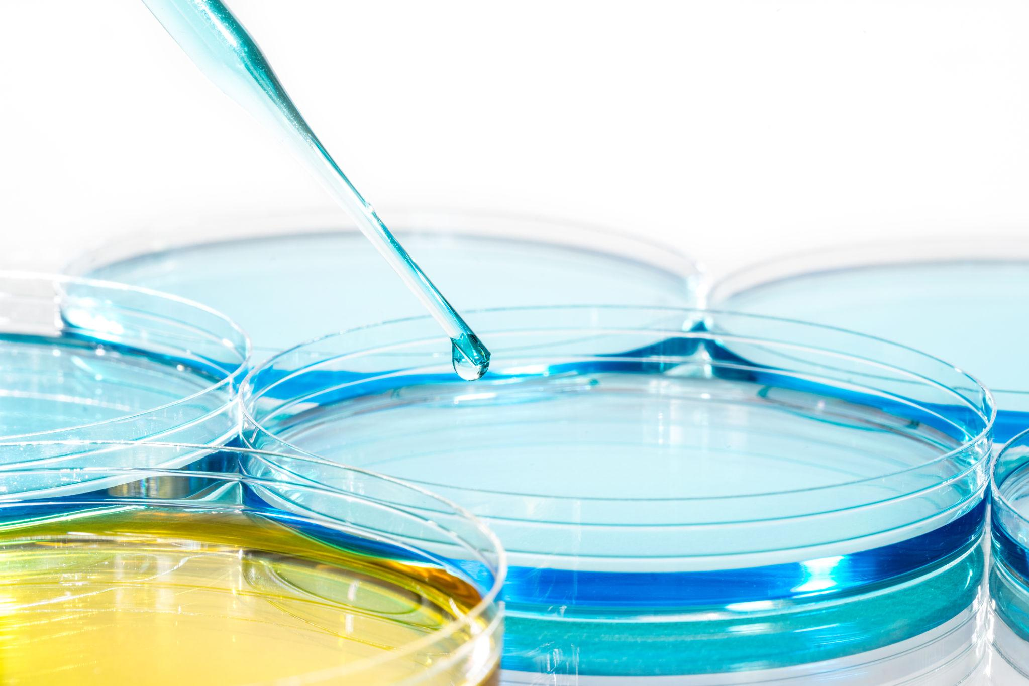 Premium laboratory petri dishes with colored liquid and pipette