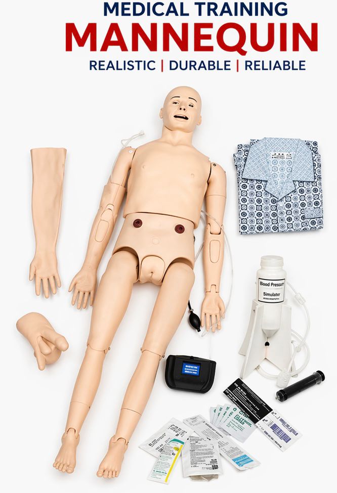Medical Training Mannequin