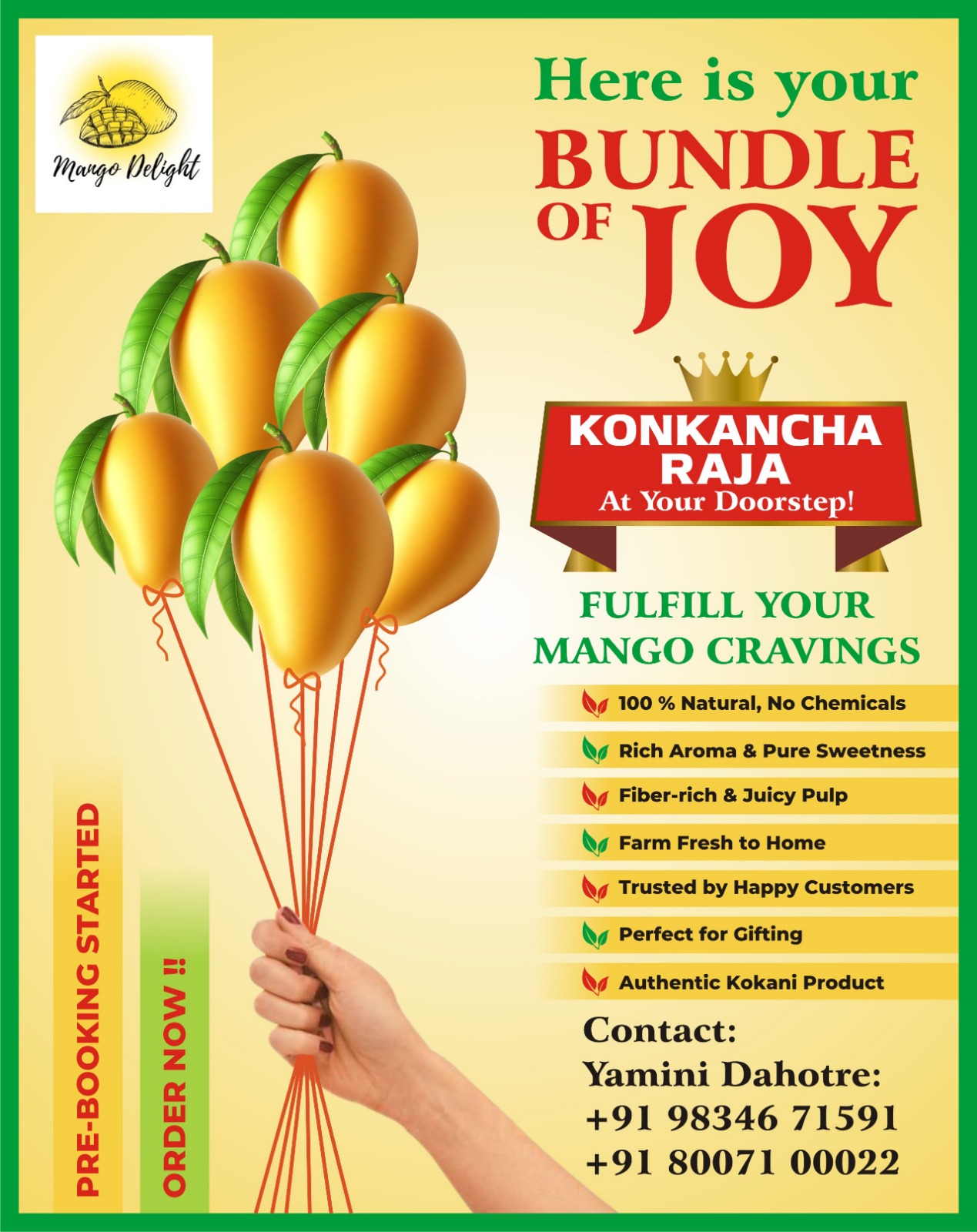 Mango Delight - Premium Konkan Alphonso Mangoes - Konkancha Raja