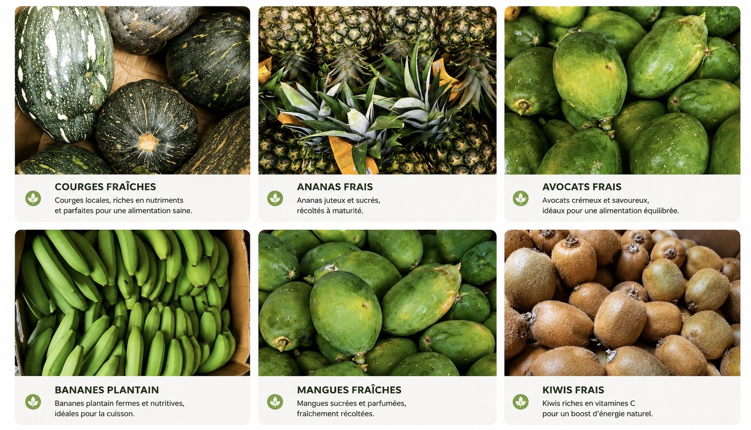 Catalogue produits vivriers KMS - Courges, Ananas, Avocats, Bananes plantain, Mangues, Kiwis